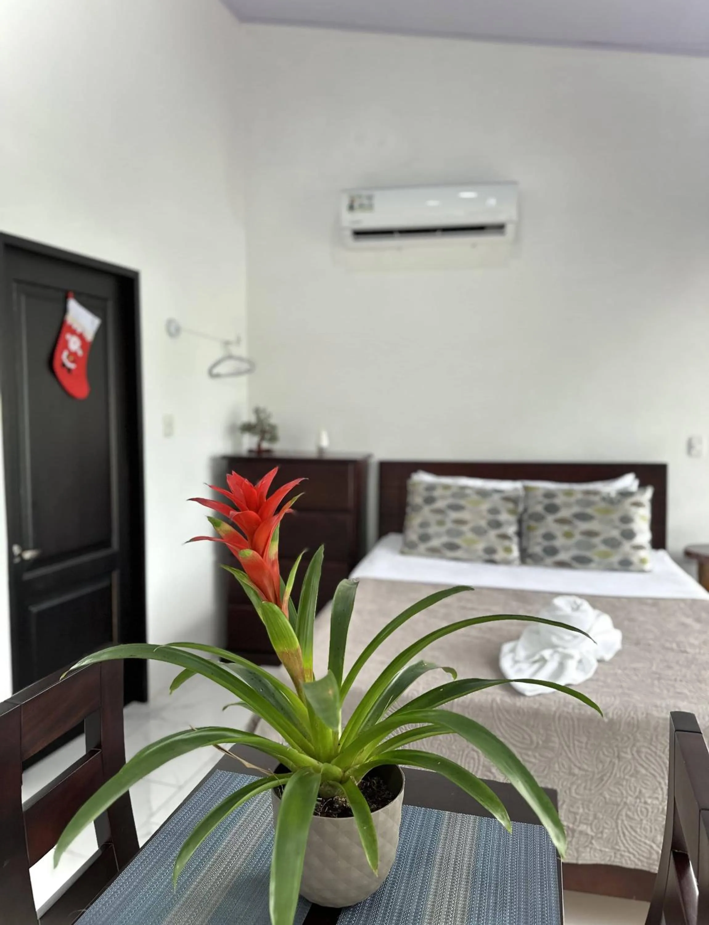 Bed in Hotel Serendipity