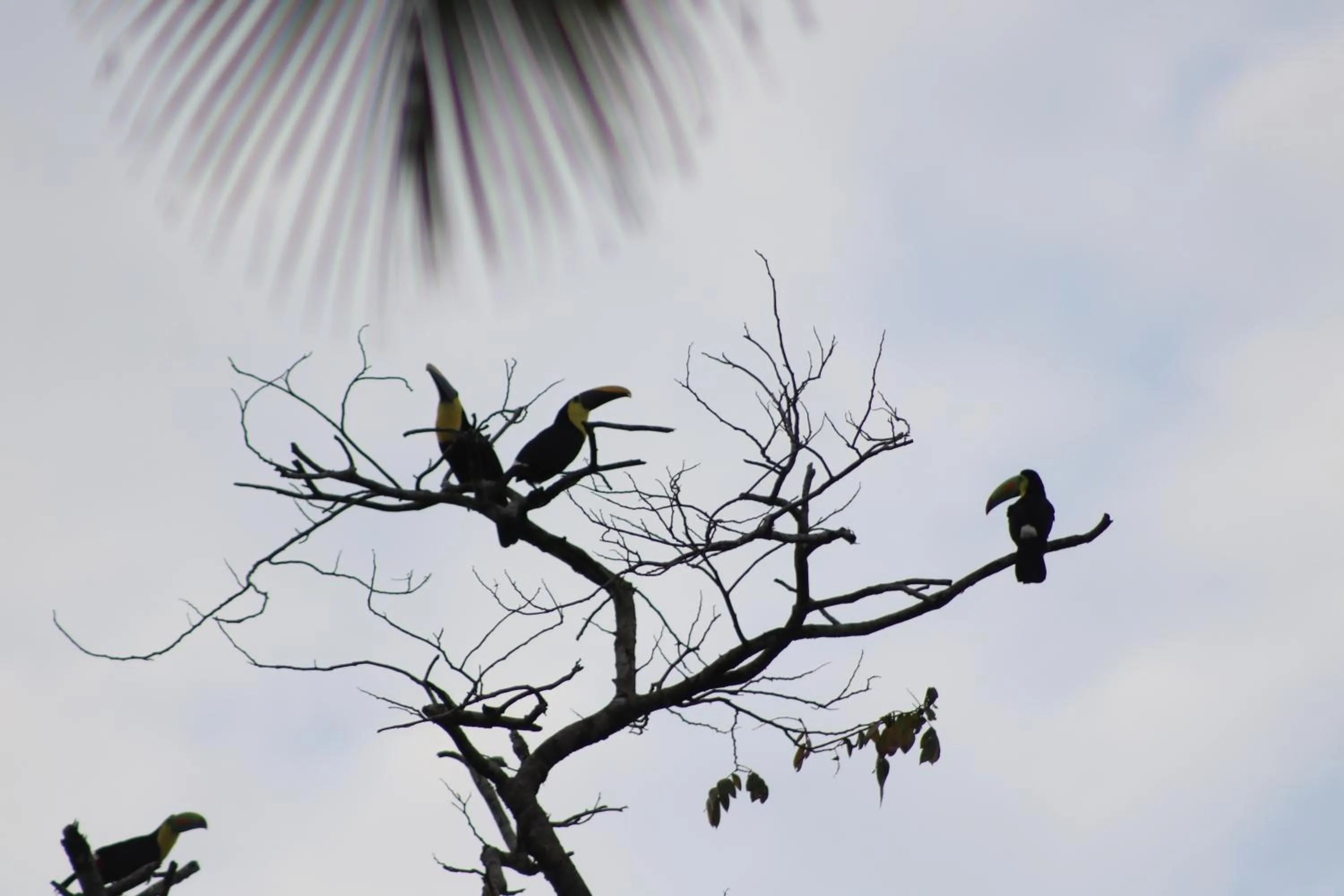 Day in Hotel Serendipity