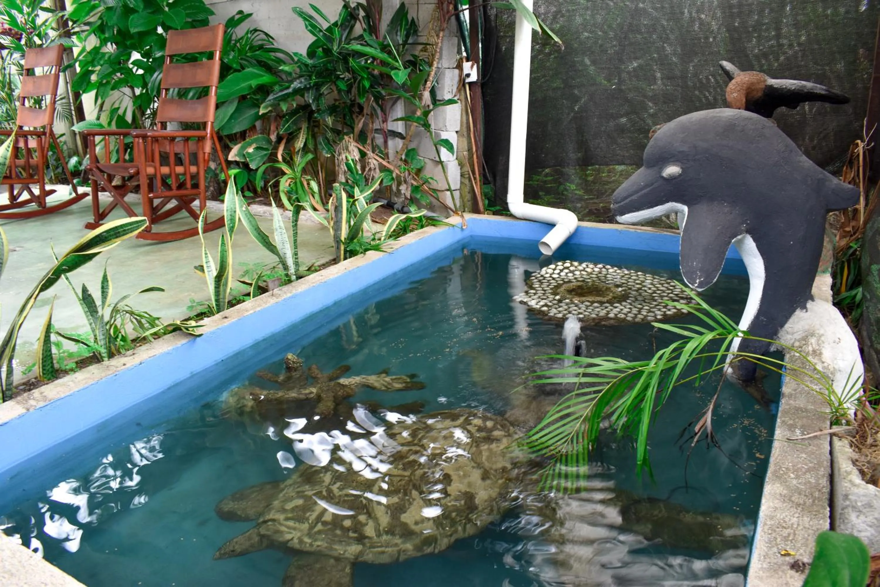 Garden in Hotel Serendipity