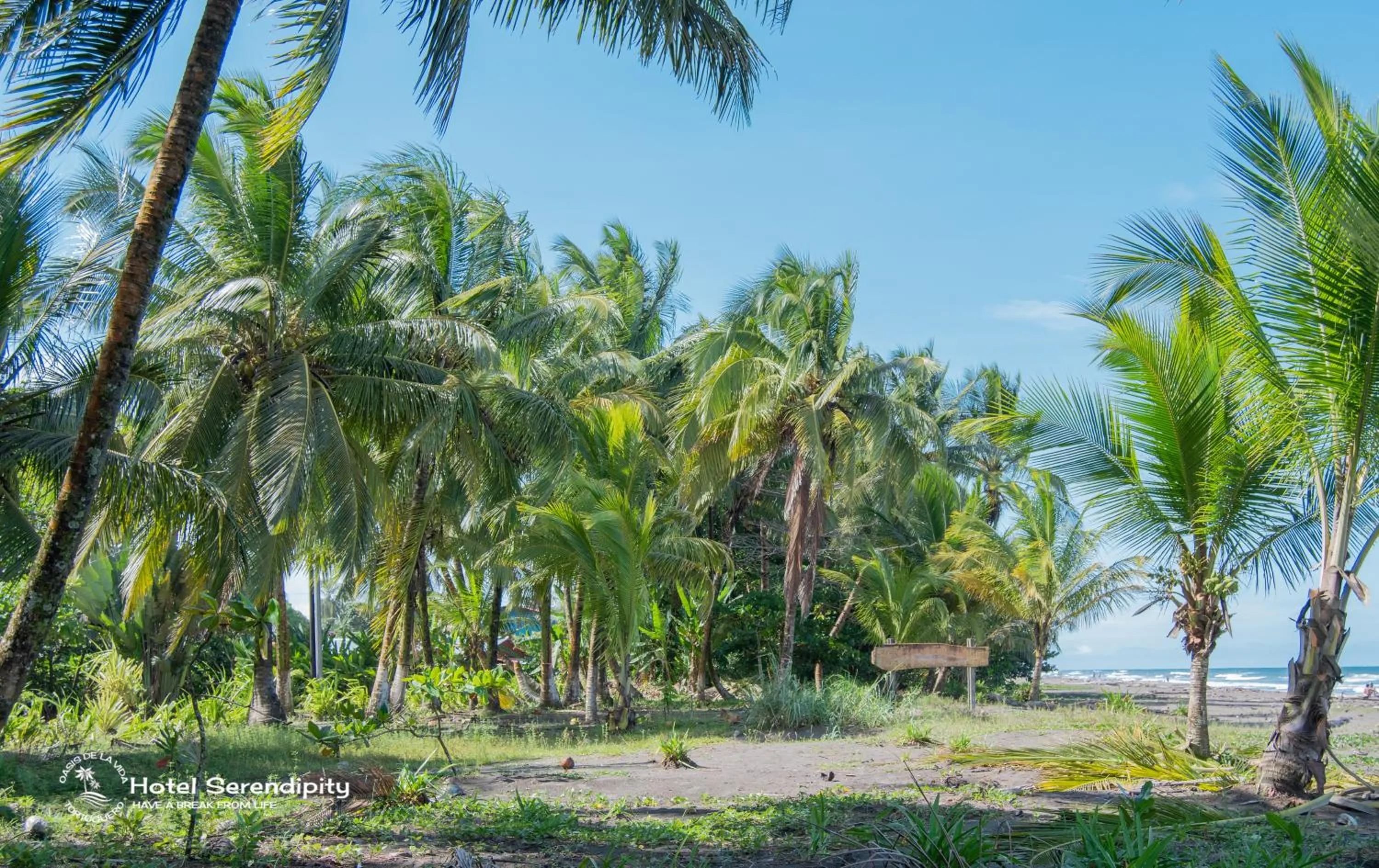 Day in Hotel Serendipity