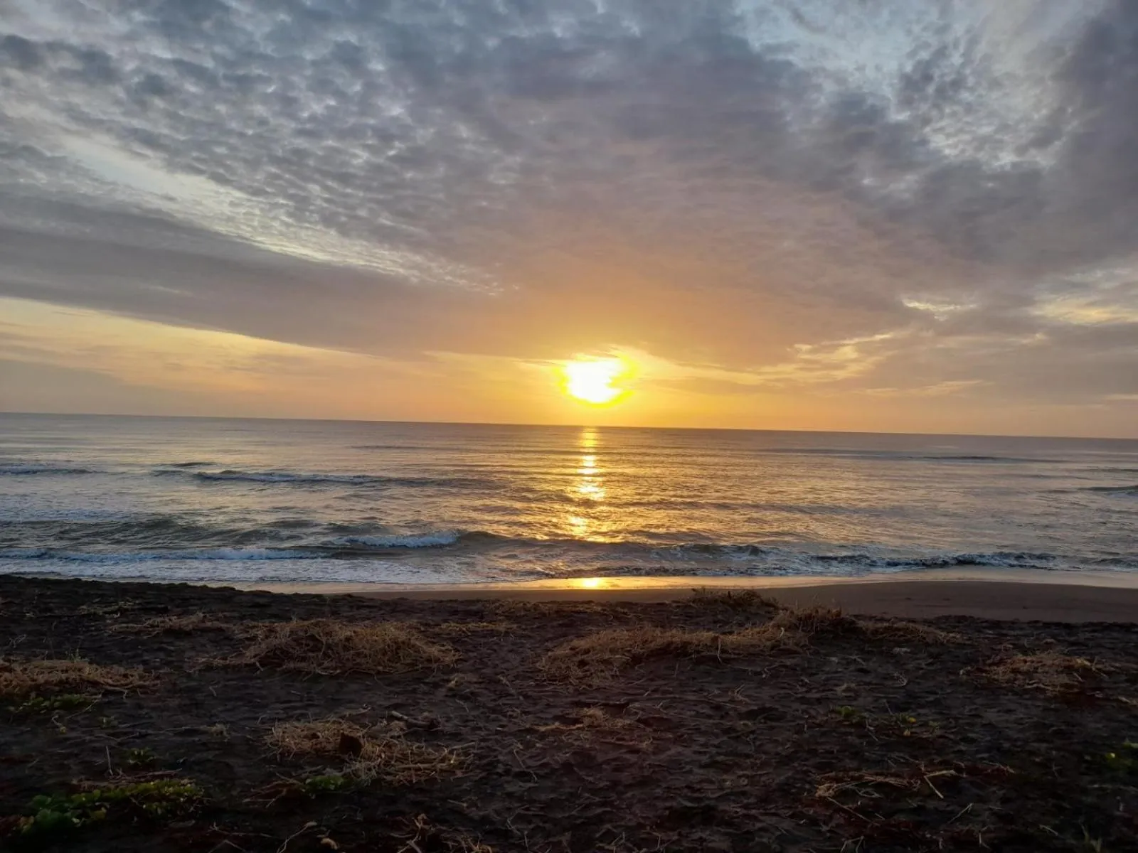 Natural landscape in Hotel Serendipity