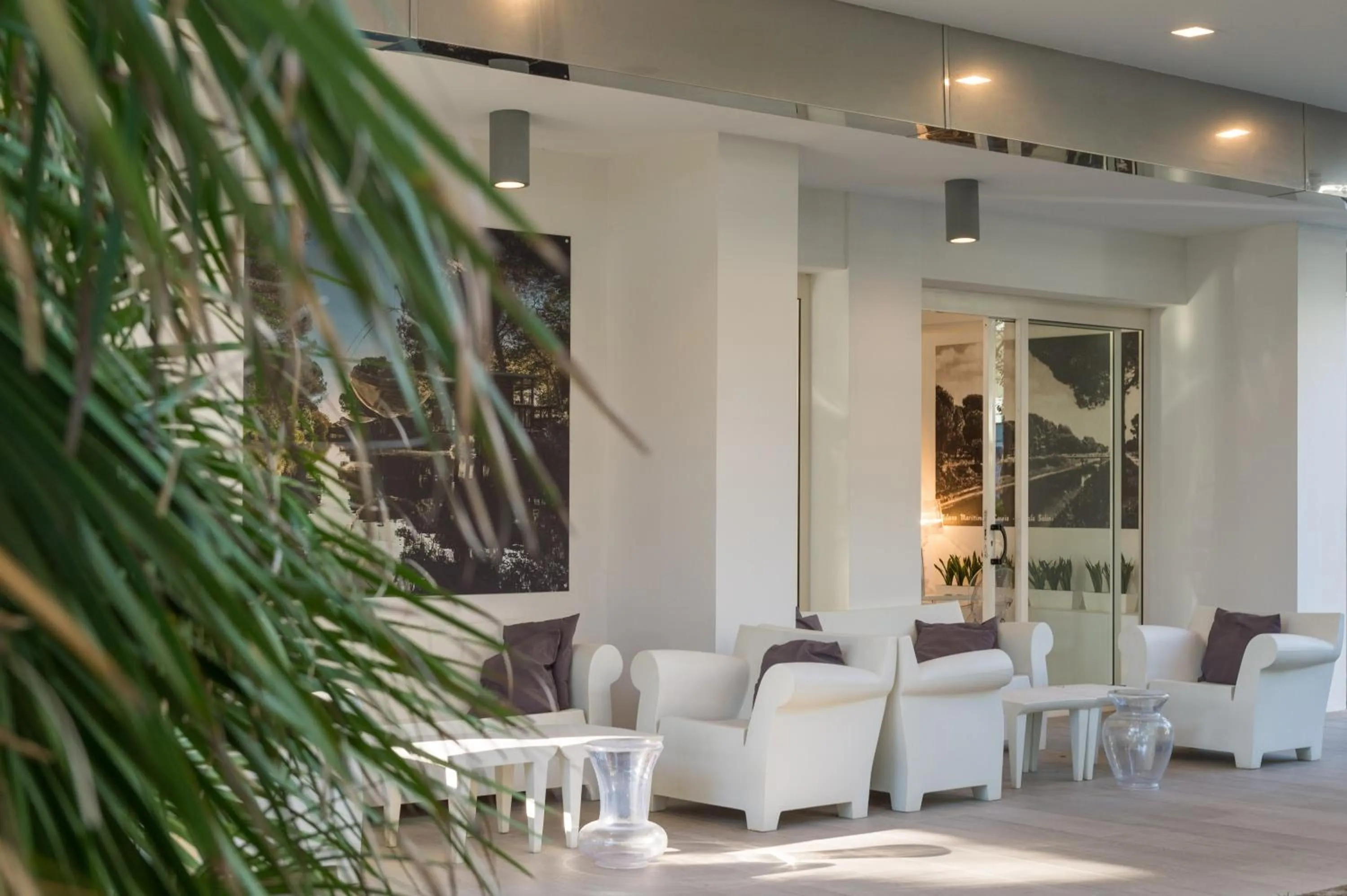 Garden in Perla Verde Hotel