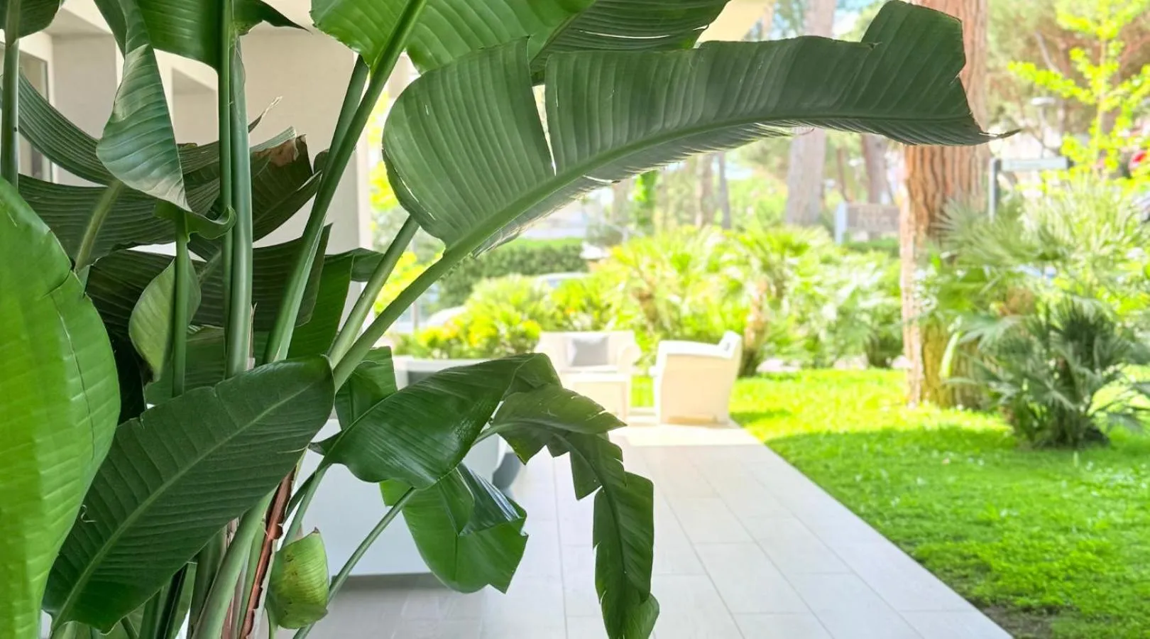 Garden in Perla Verde Hotel