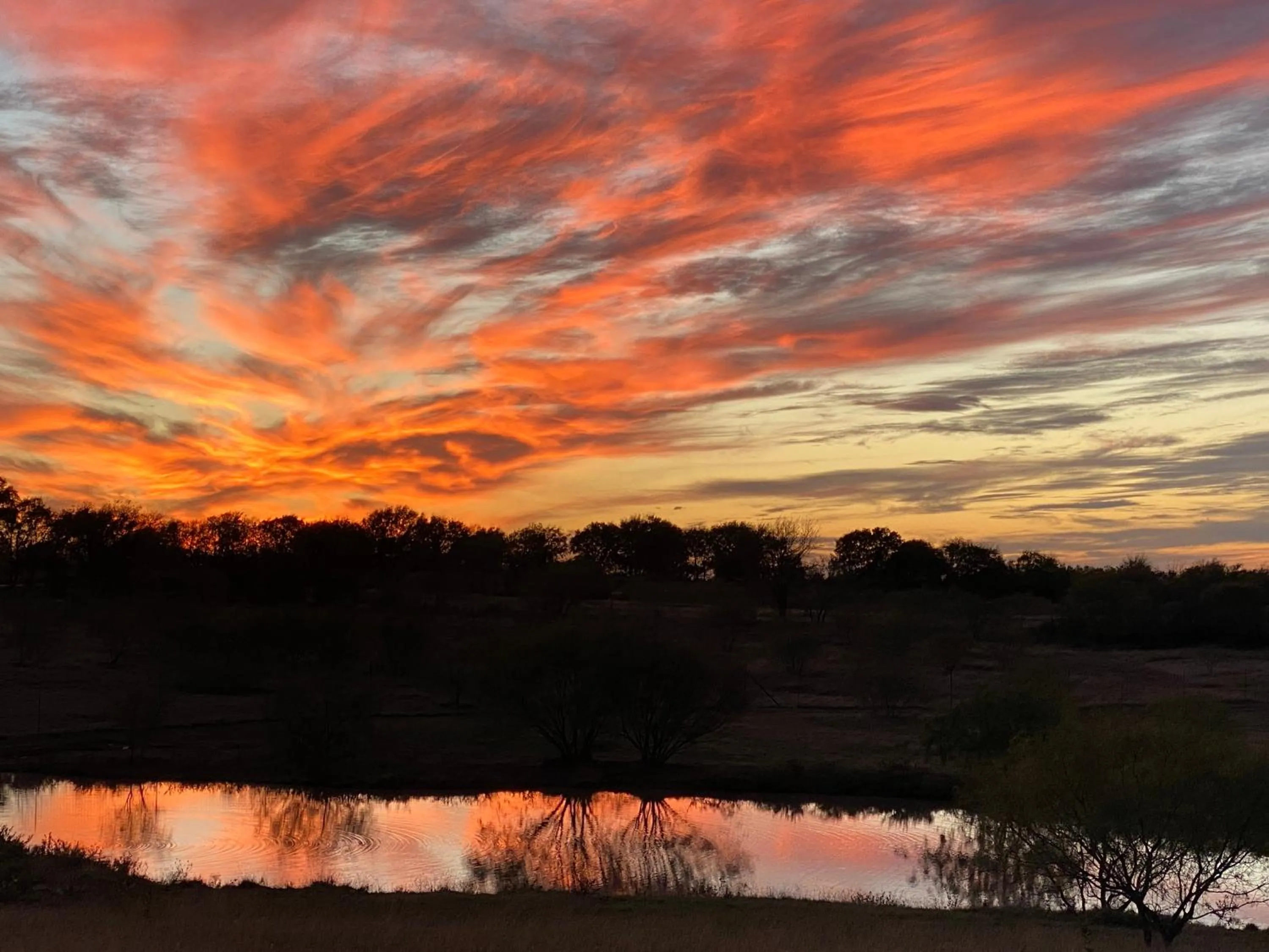 Natural landscape in Blue Hills Ranch