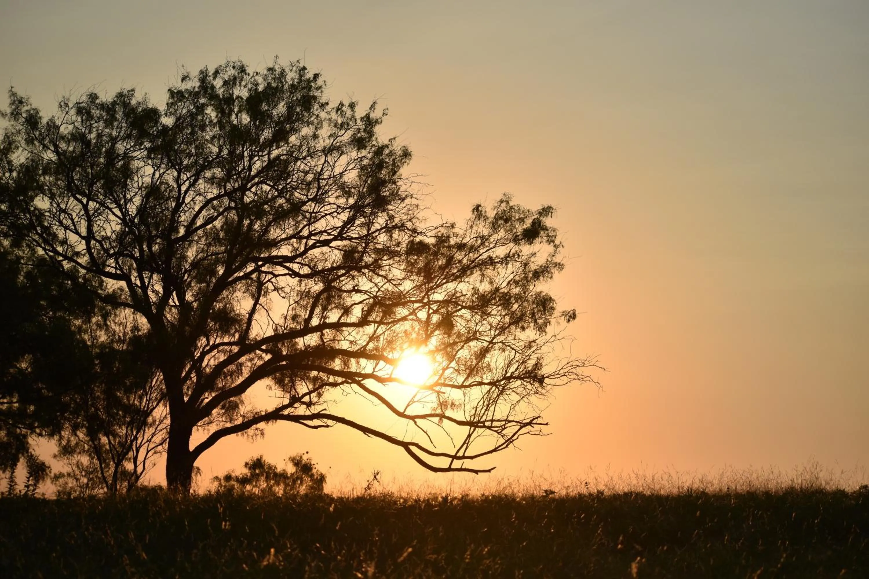 Natural landscape in Blue Hills Ranch