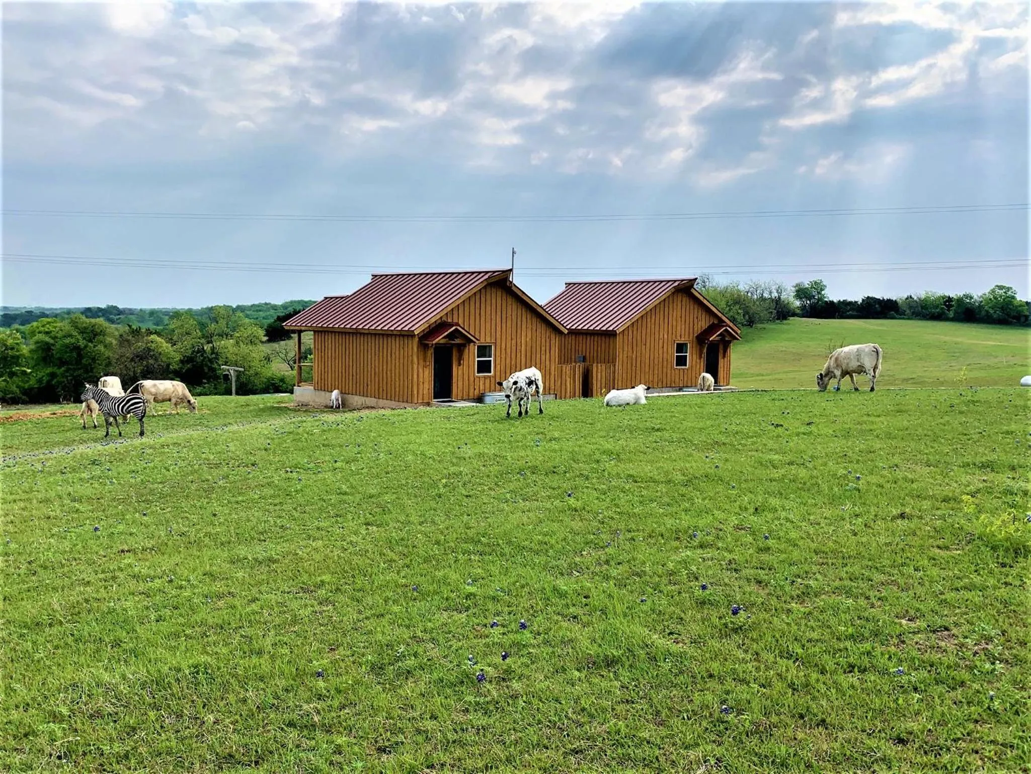 Property building in Blue Hills Ranch