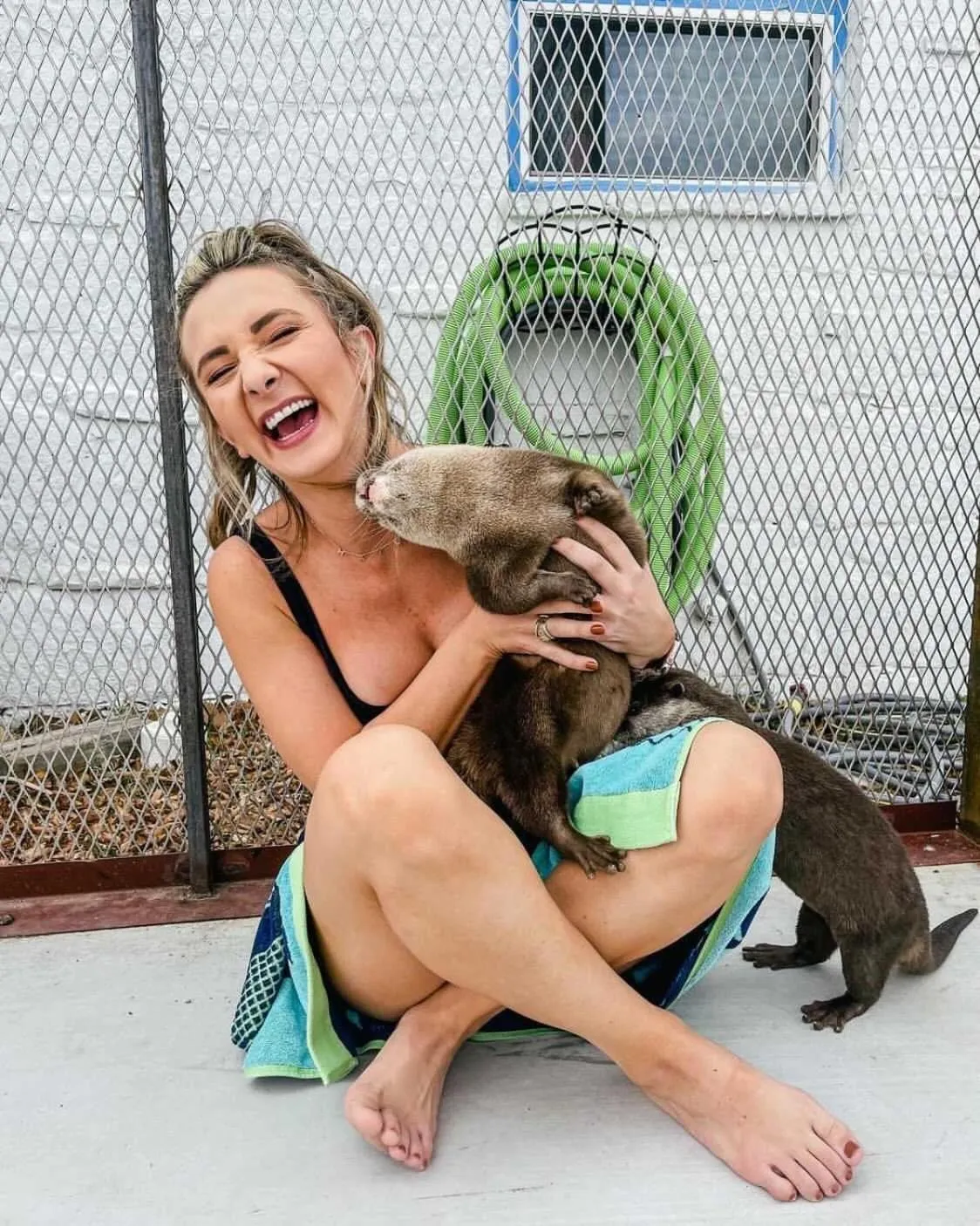 Animals in Blue Hills Ranch