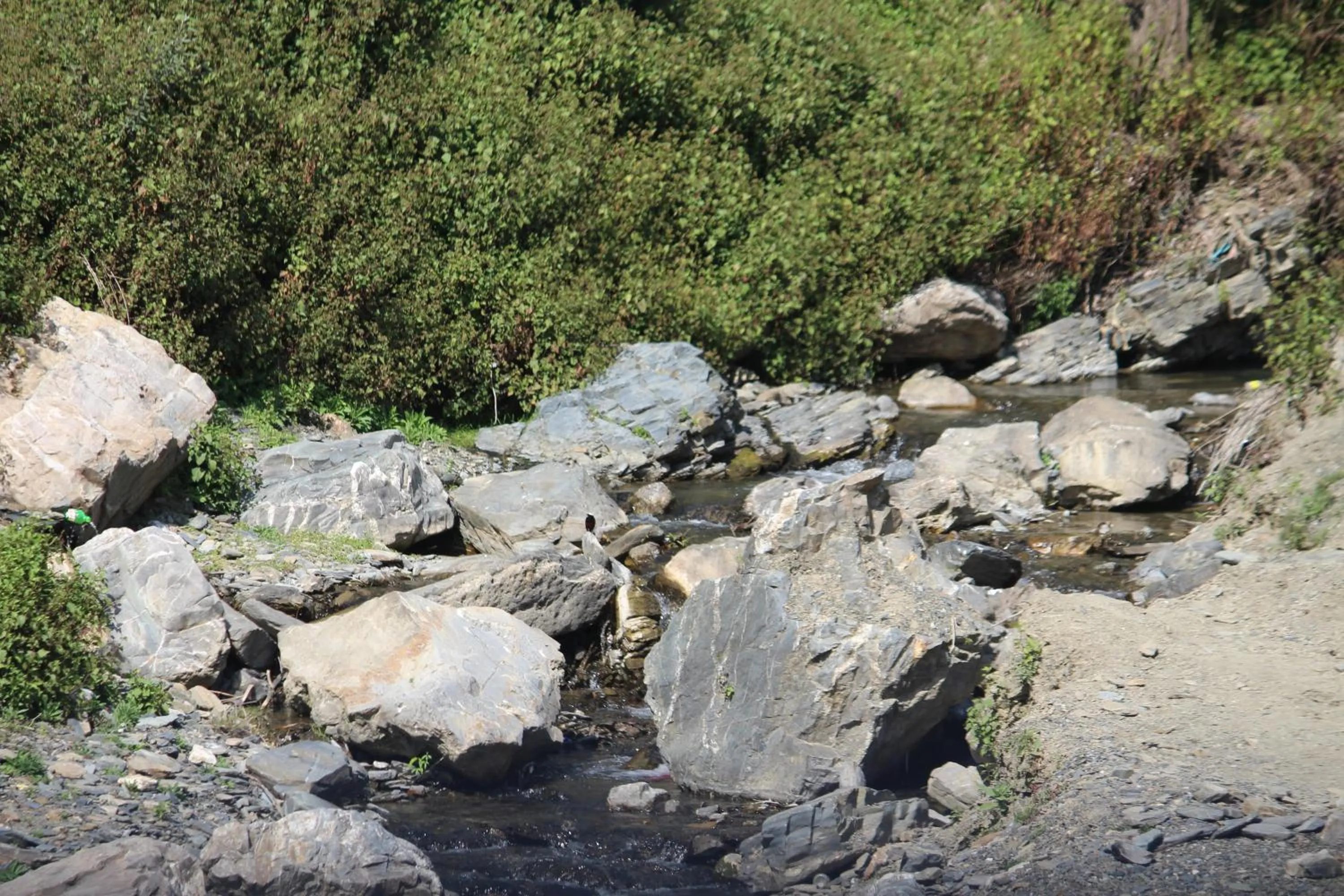 River view in Veda Inn