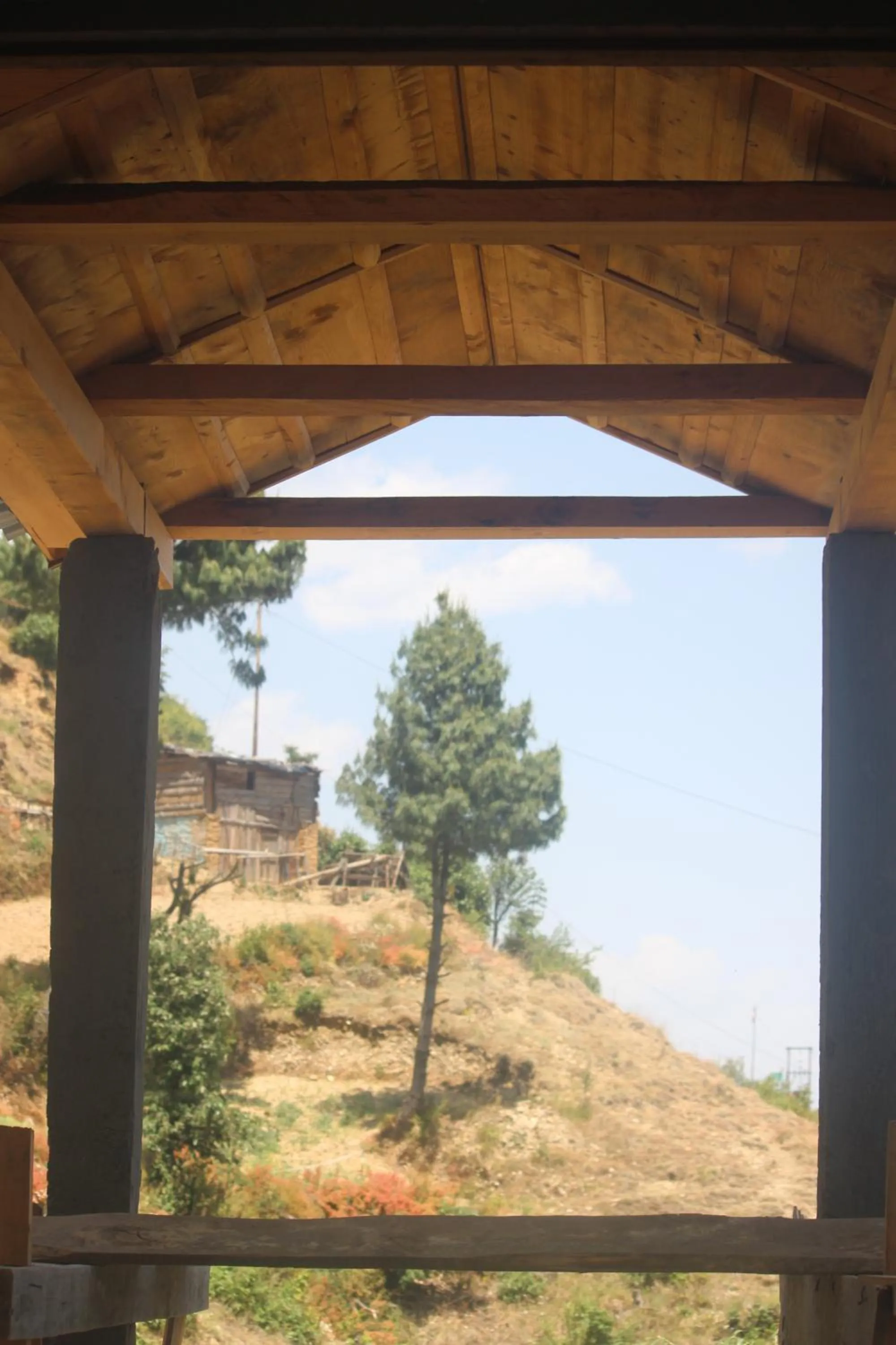 Garden view in Veda Inn