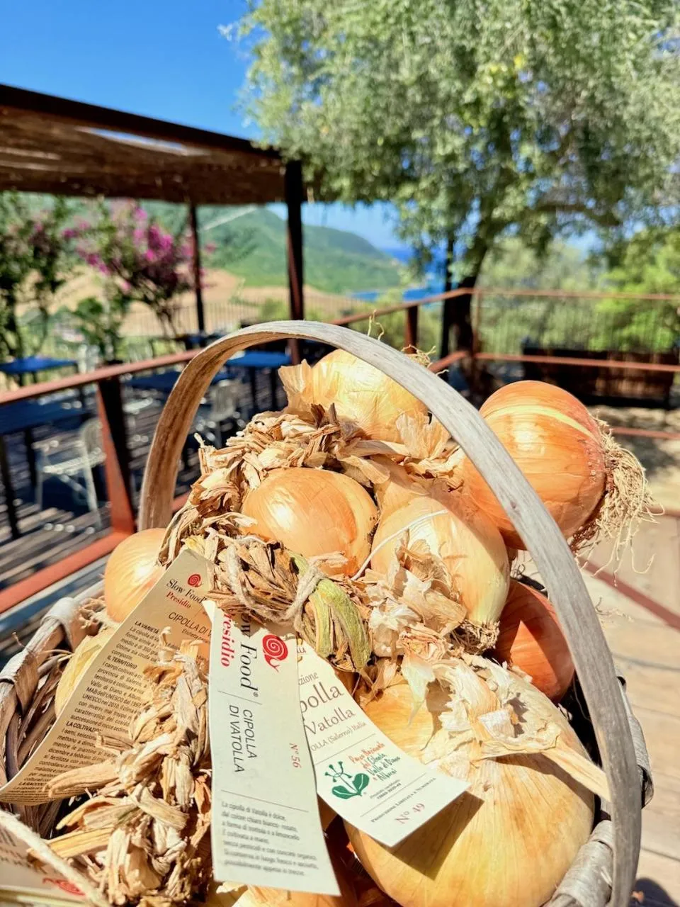 Restaurant/places to eat in B&B Baia Di Trentova