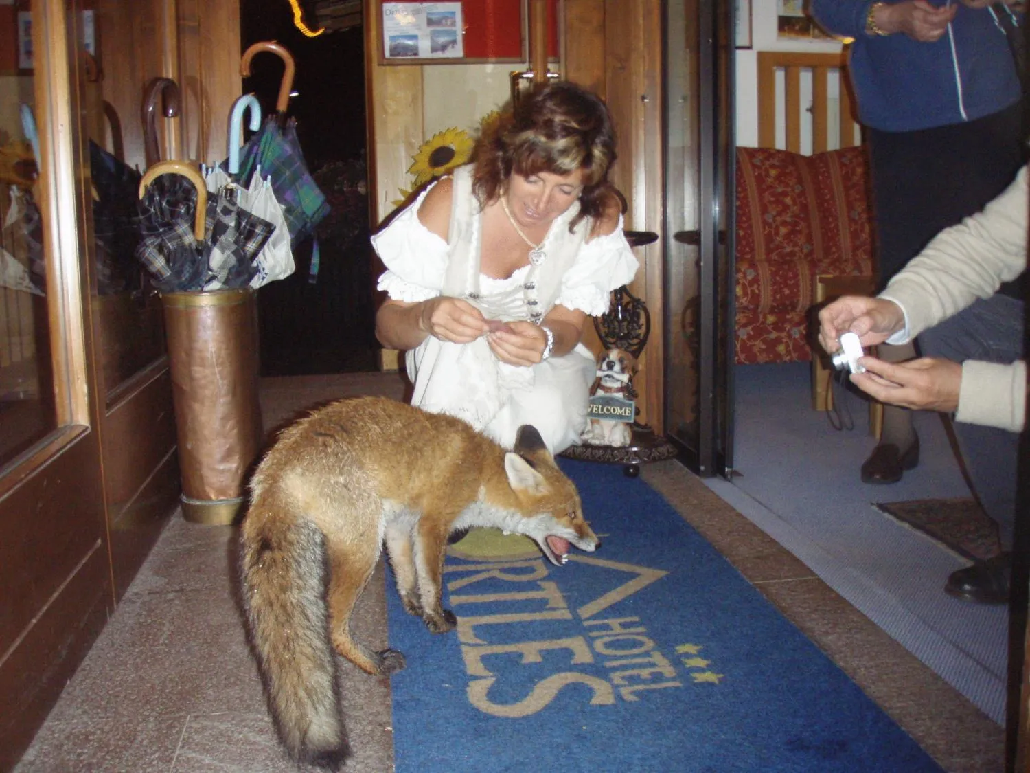 People in Hotel Ortles Dolomiti Walking & Spa