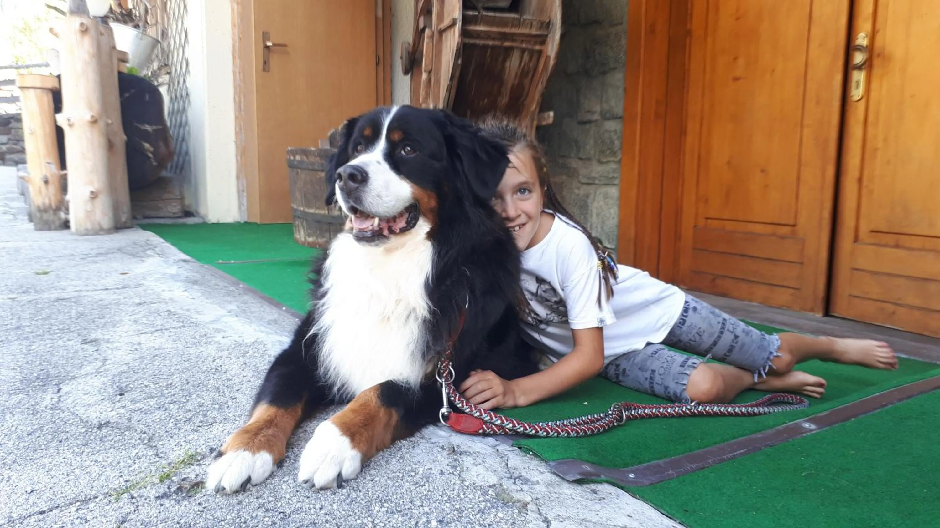Pets in Hotel Ortles Dolomiti Walking & Spa