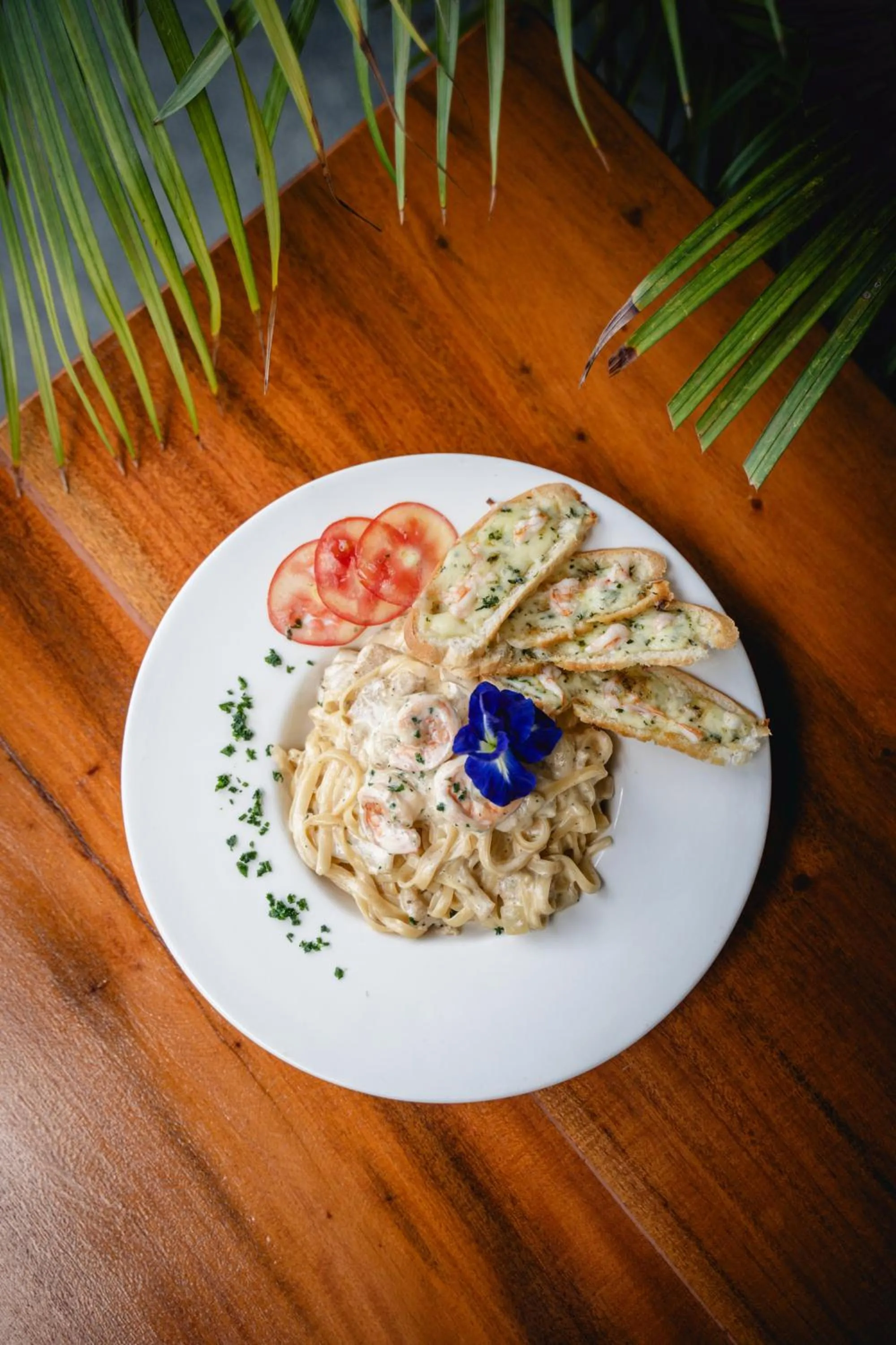 Secret paradise moalboal