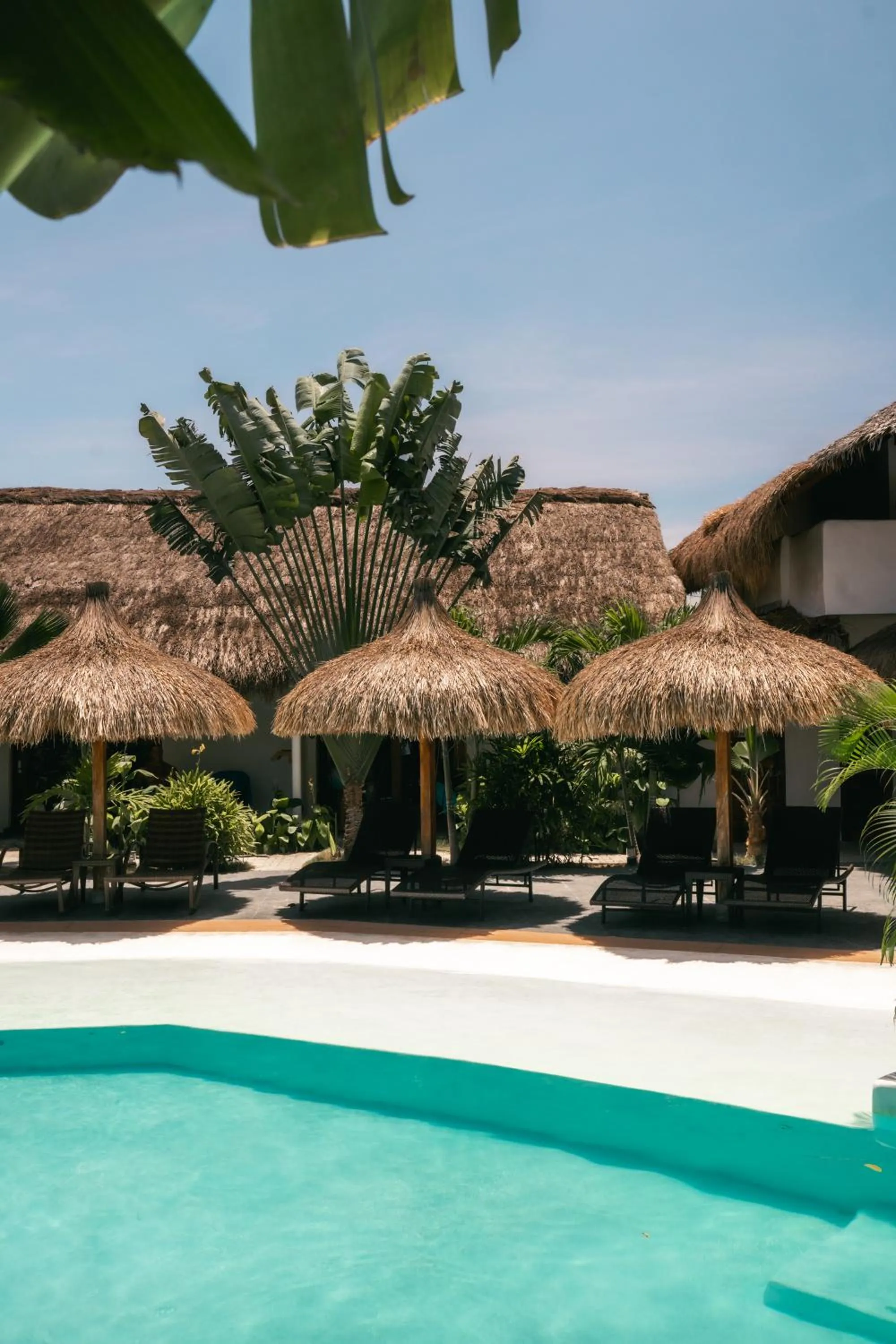 Secret paradise moalboal