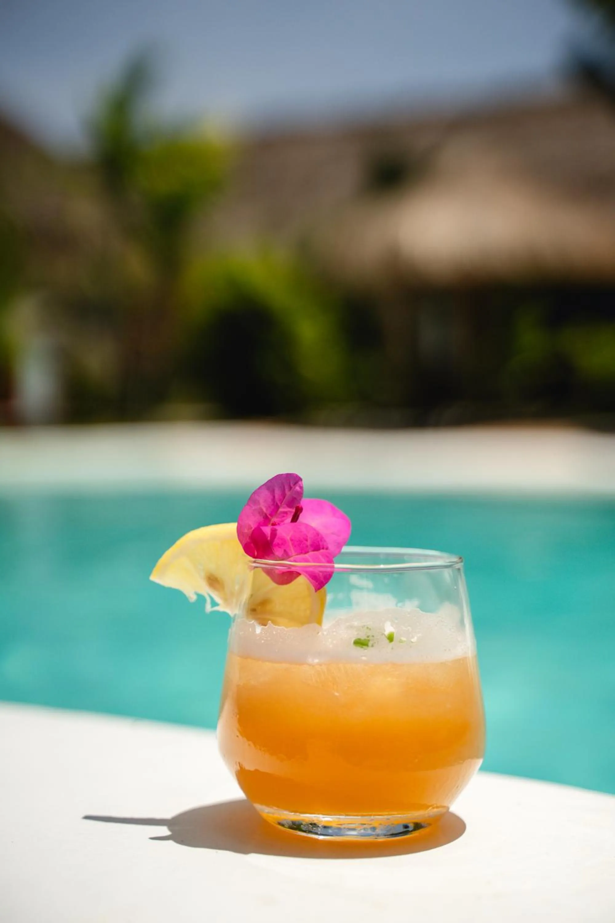 Secret paradise moalboal