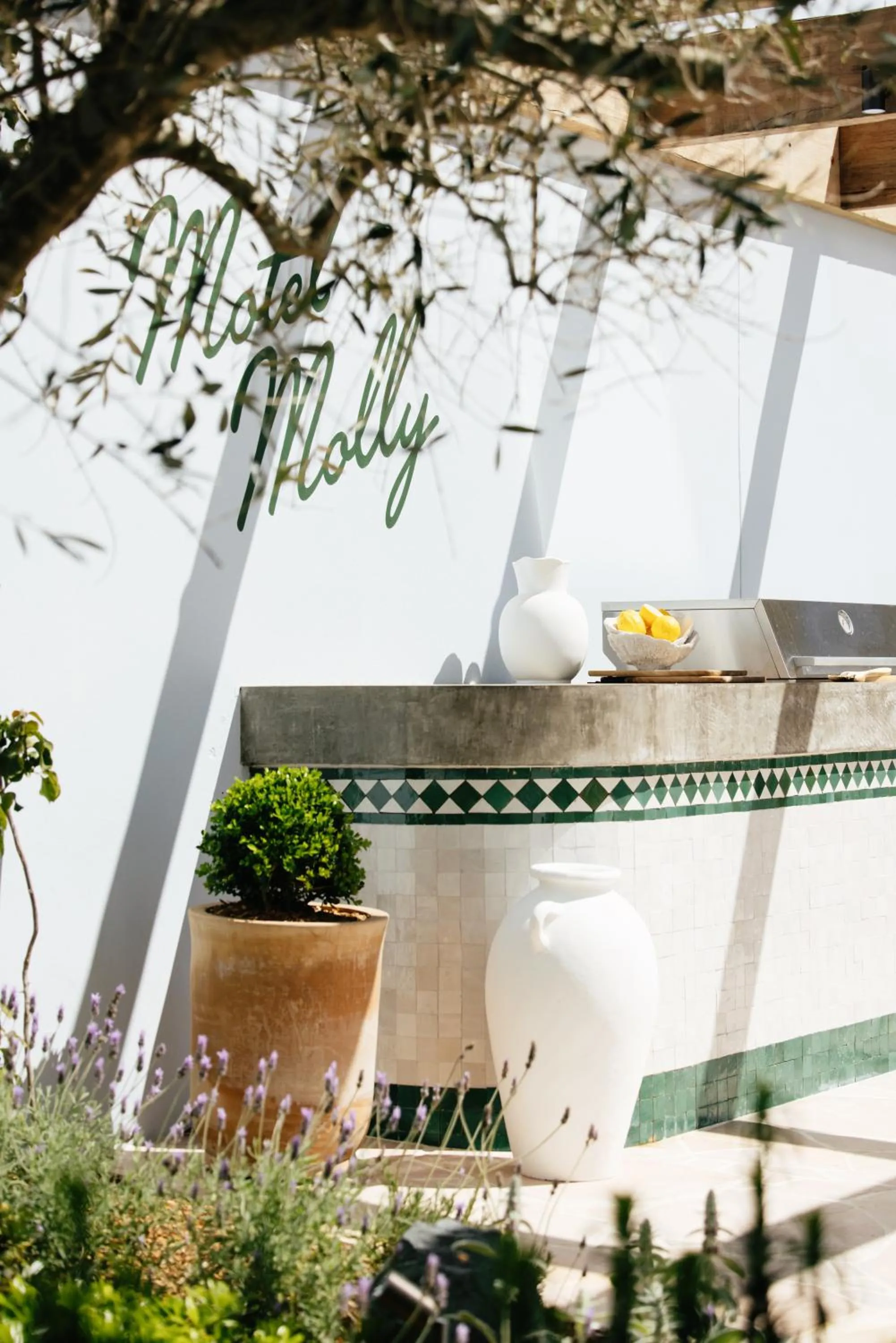 BBQ facilities in Motel Molly - Boutique Hotel Mollymook