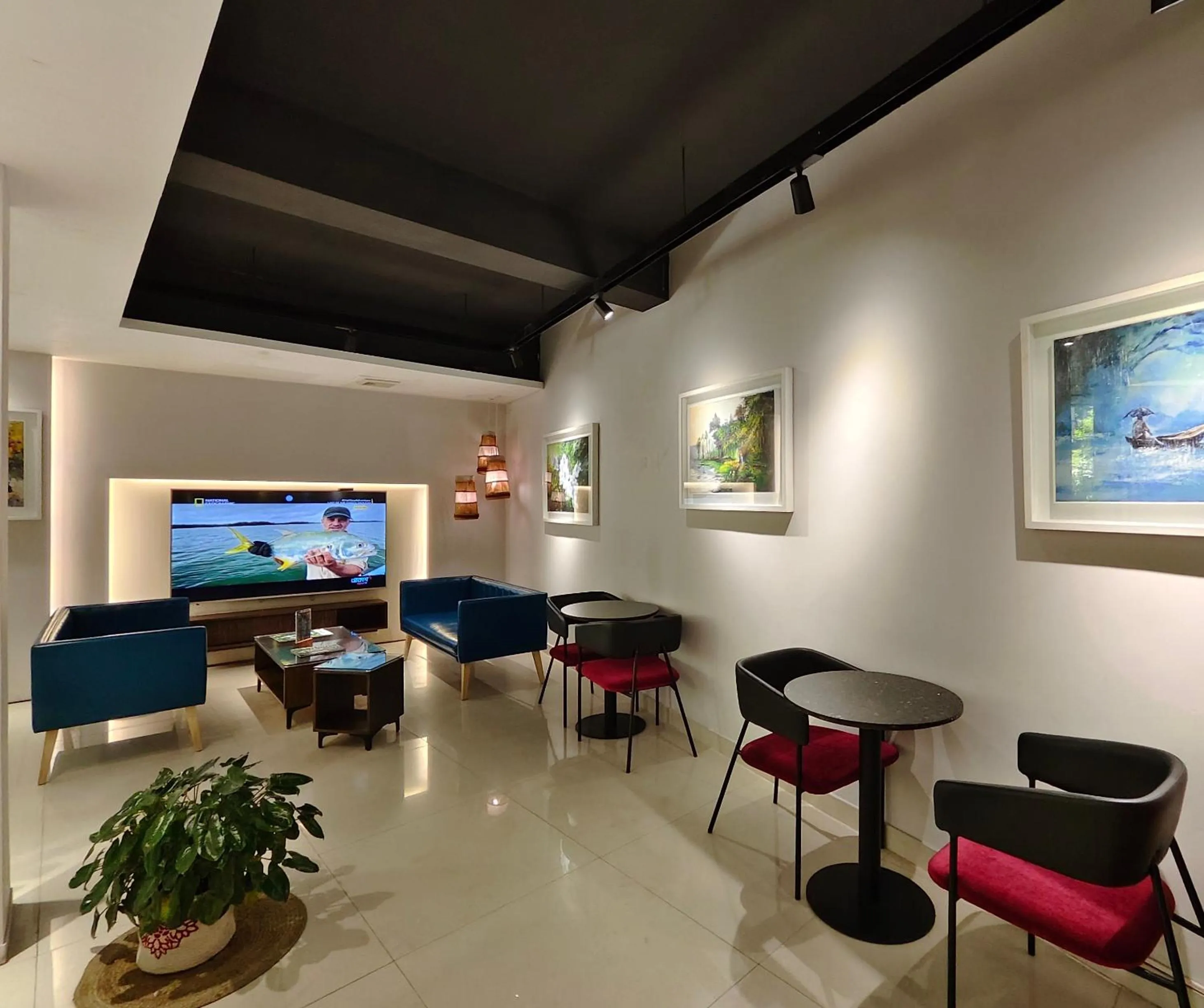 TV and multimedia in Hotel Nandini