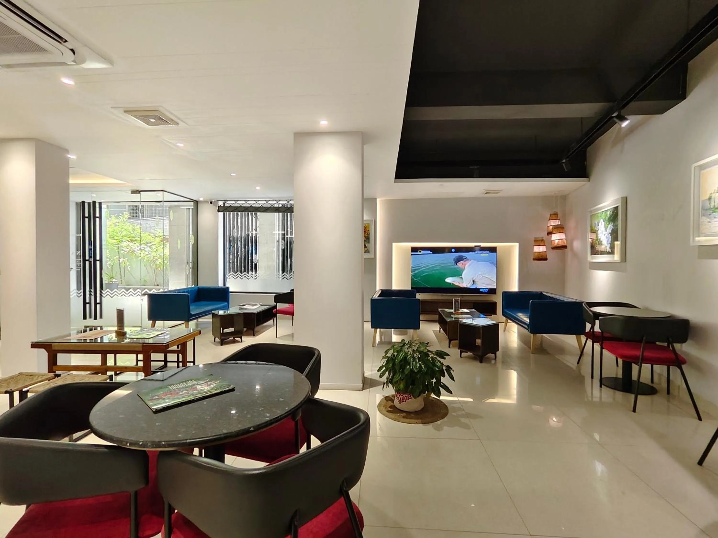 TV and multimedia in Hotel Nandini