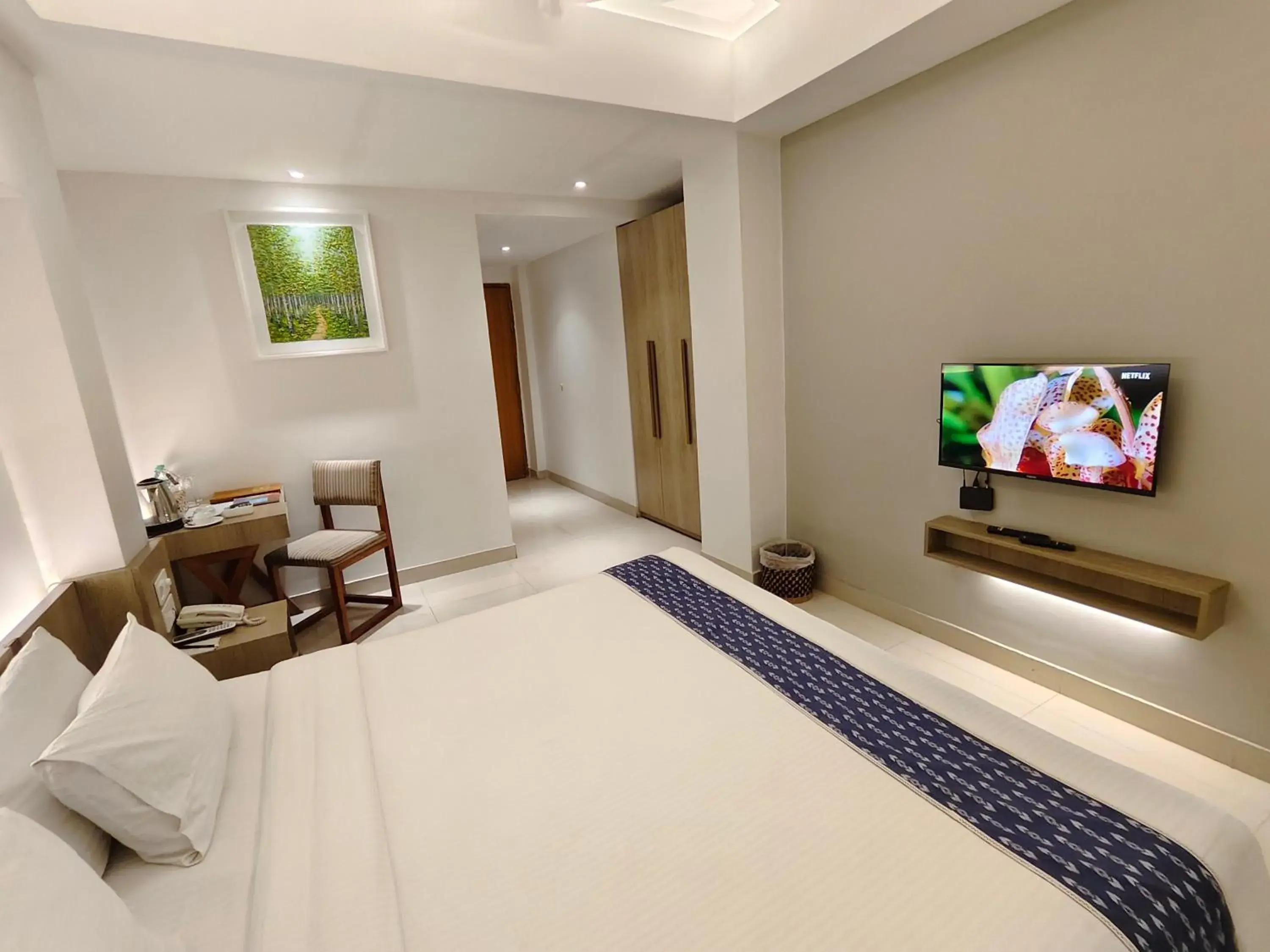 King Room - single occupancy in Hotel Nandini King Room - single occupancy in Hotel Nandini