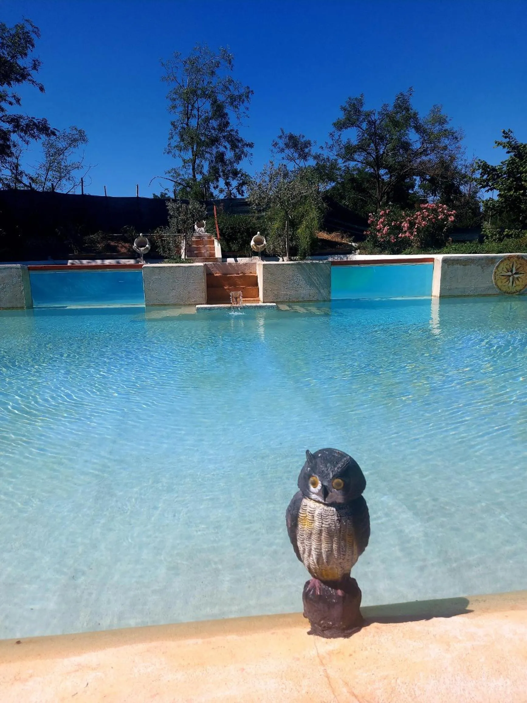 Swimming pool in Agriturismo Cascina Madonnina
