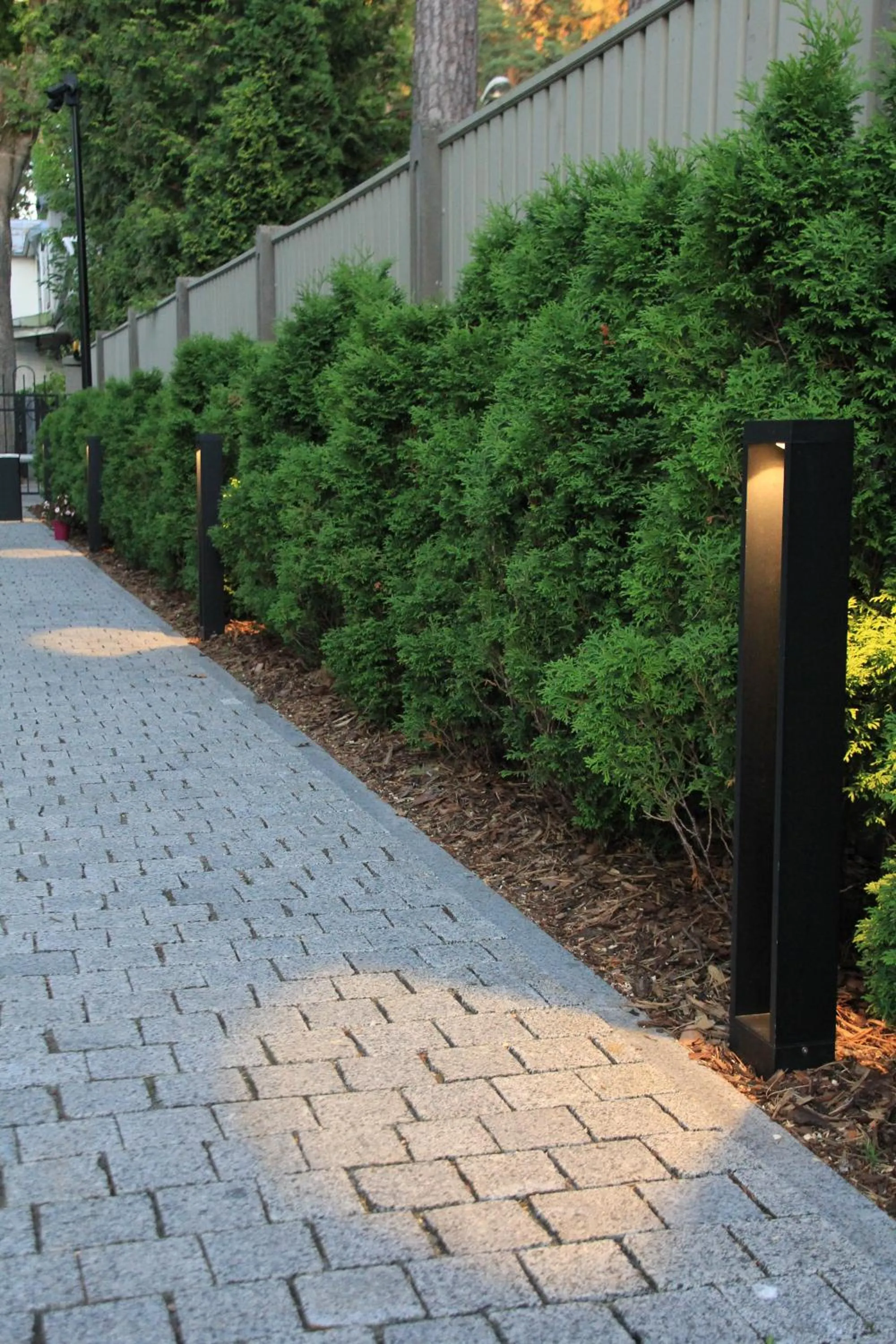 Garden in Villa Lettonia