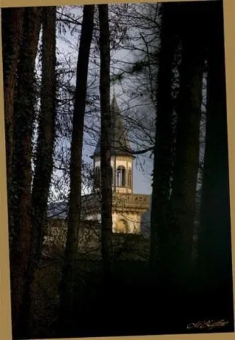 Area and facilities in Hotel Duca Di Calabria