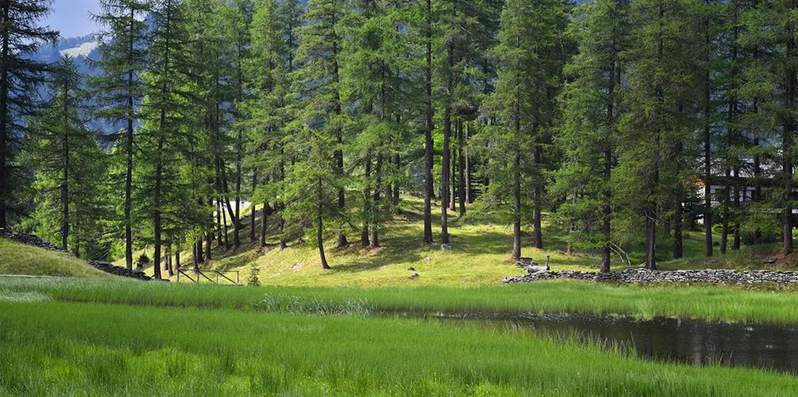Albergo Casa Alpina San Luigi