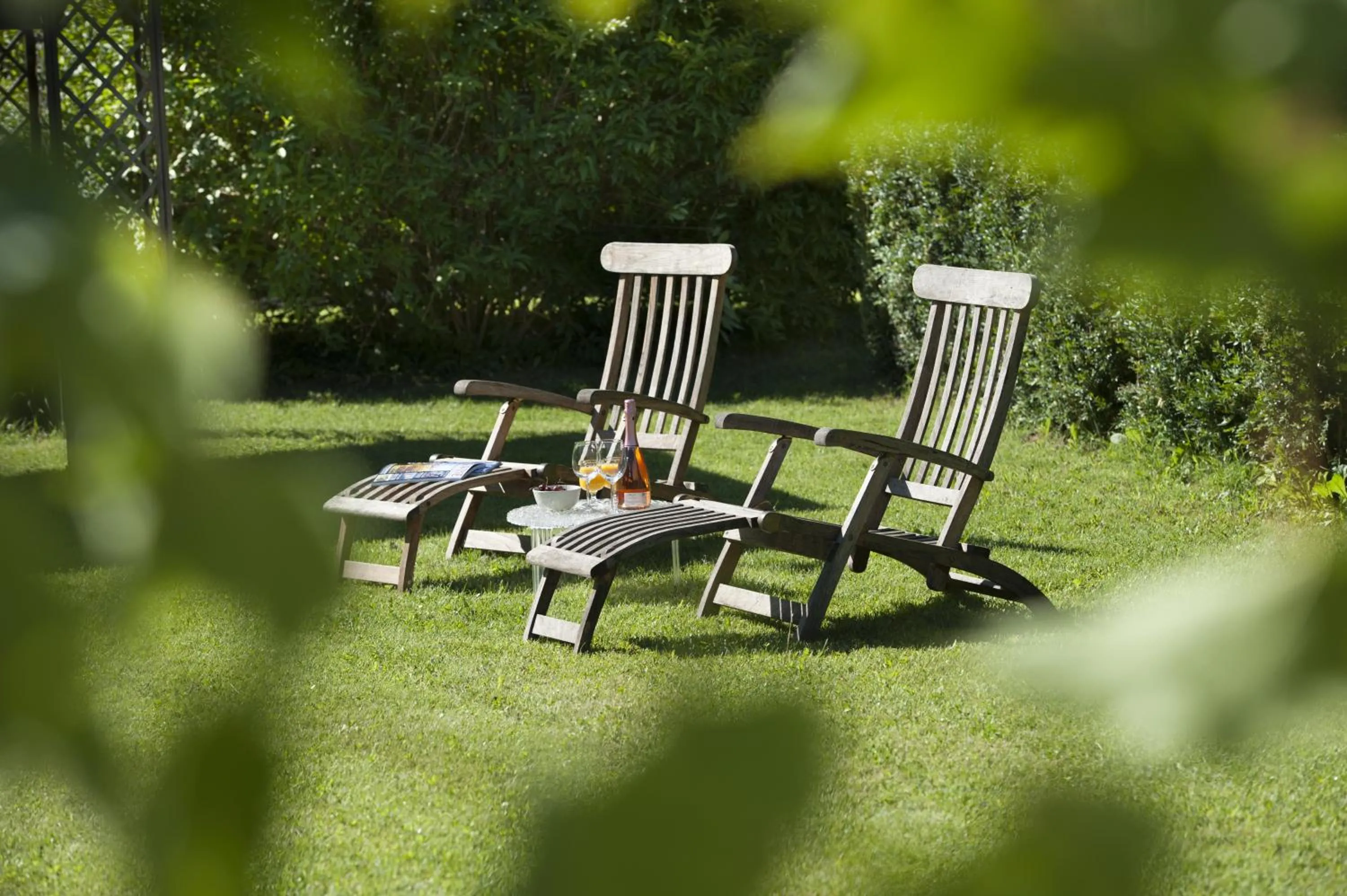 Garden in Hotel Langhe