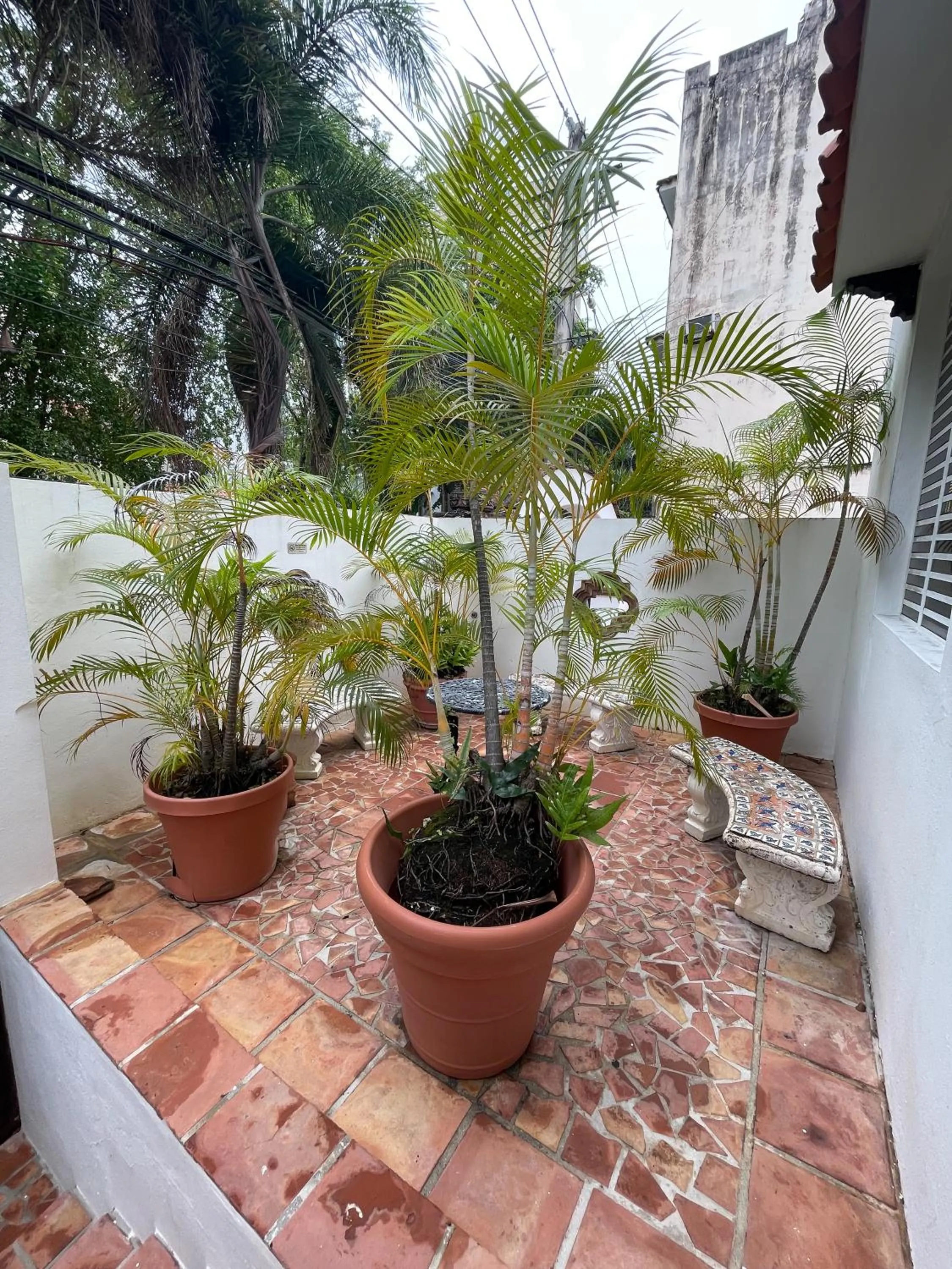 Garden in At Wind Chimes Boutique Hotel