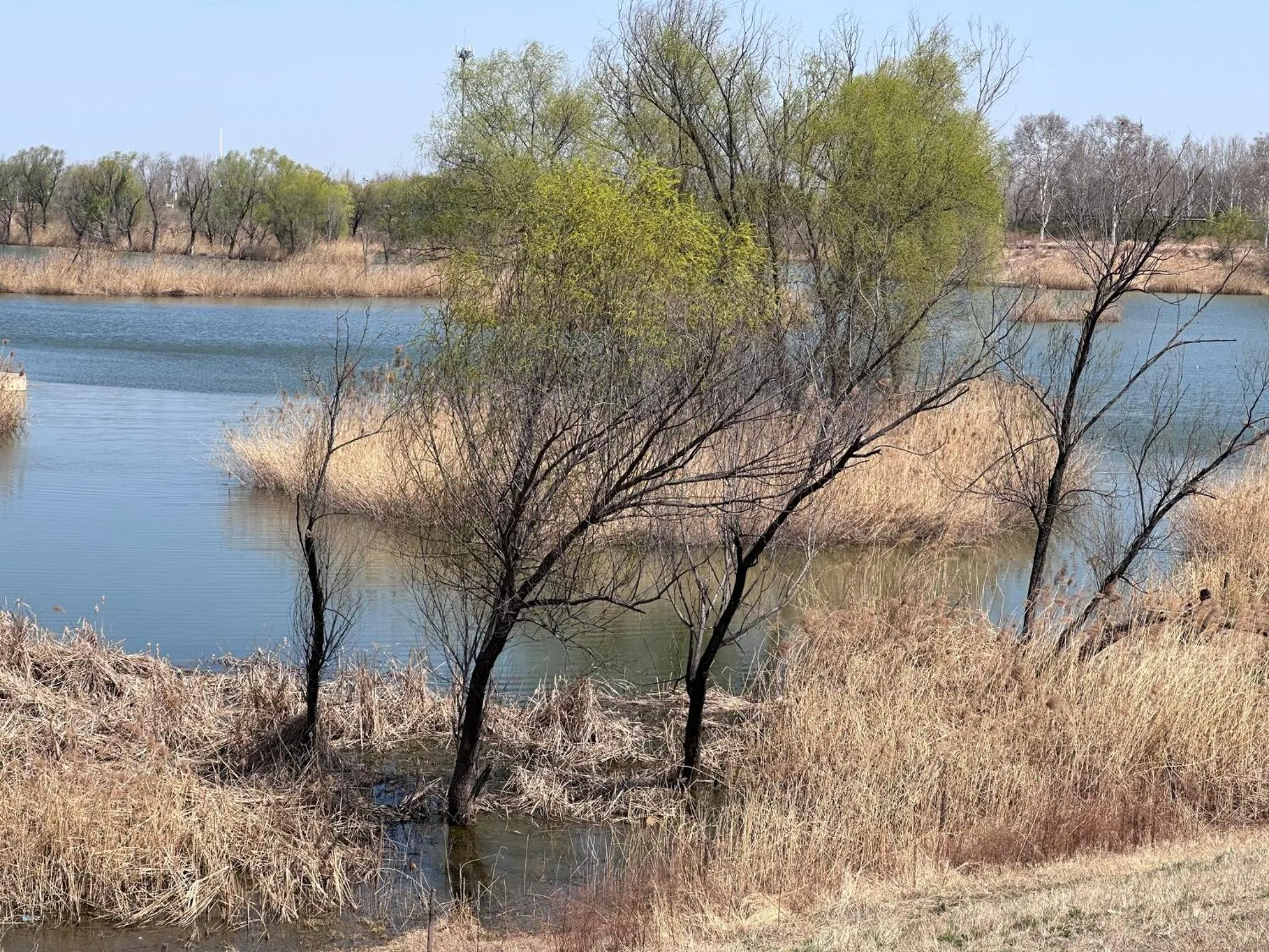 Nearby landmark in Crowne Plaza Zhengzhou High Tech Zone by IHG