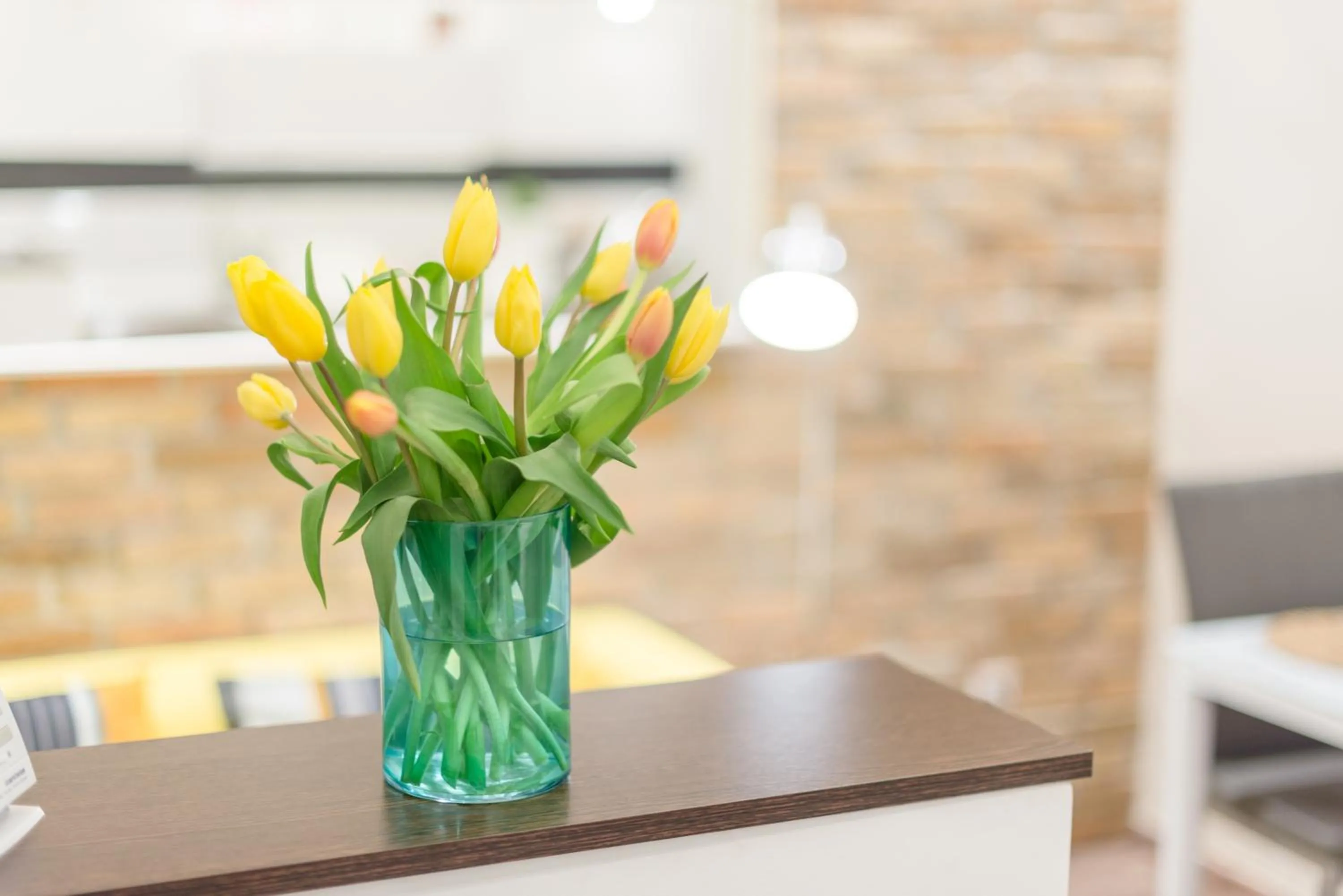 Venus Apartments - Almassy Park
