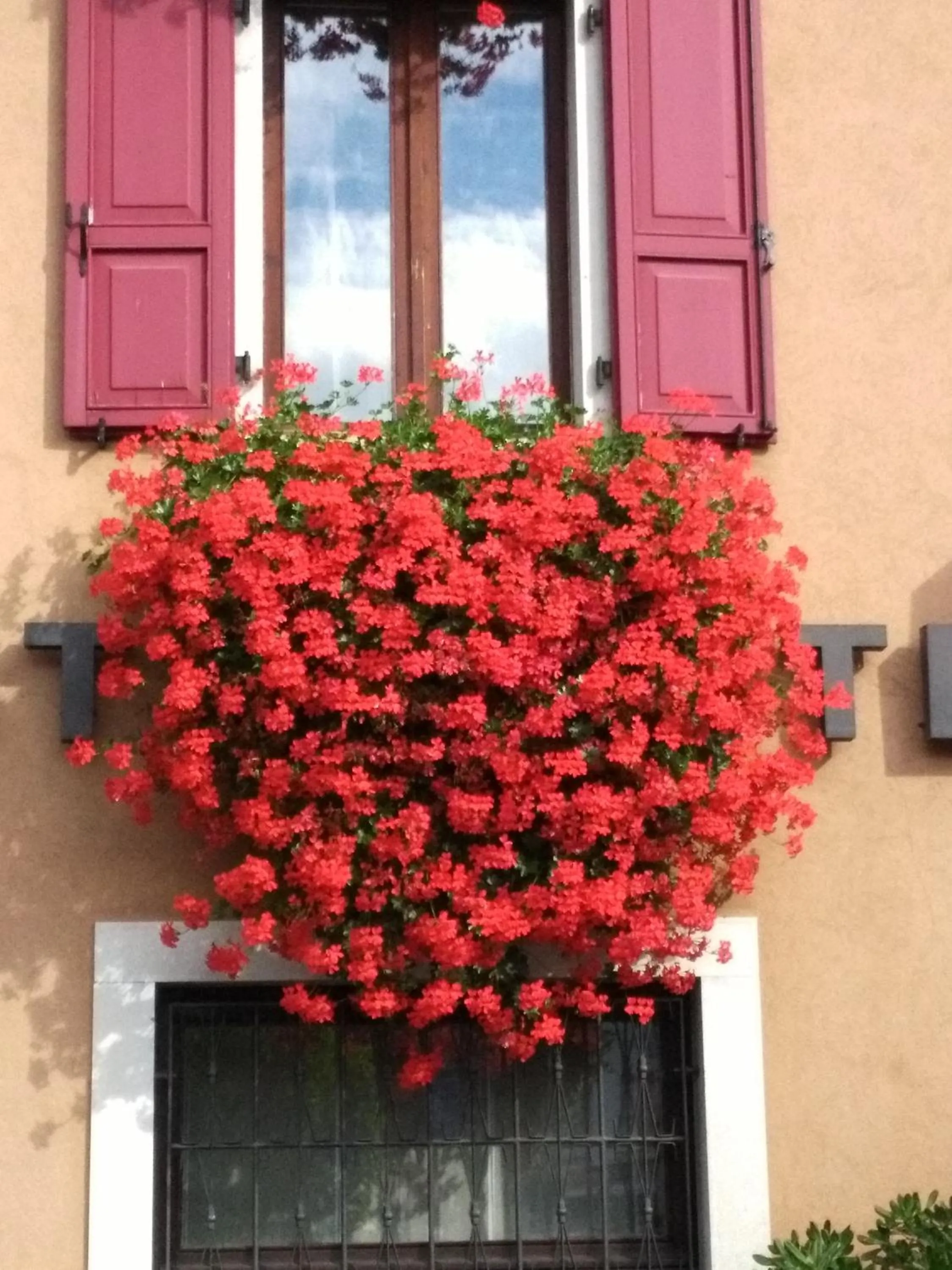 Spring in Hotel San Giorgio