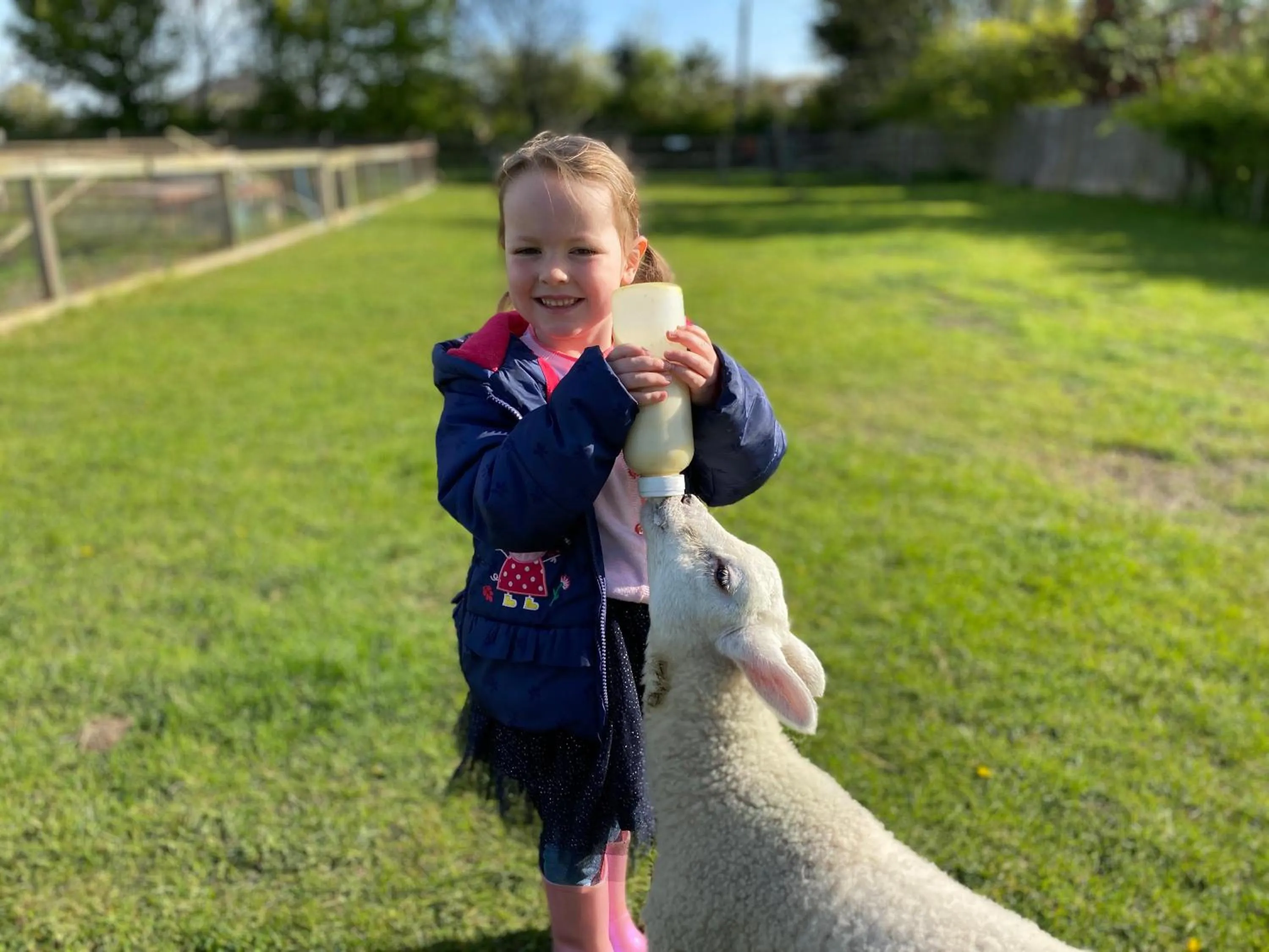 Activities in The Chestnuts Holiday Cottages