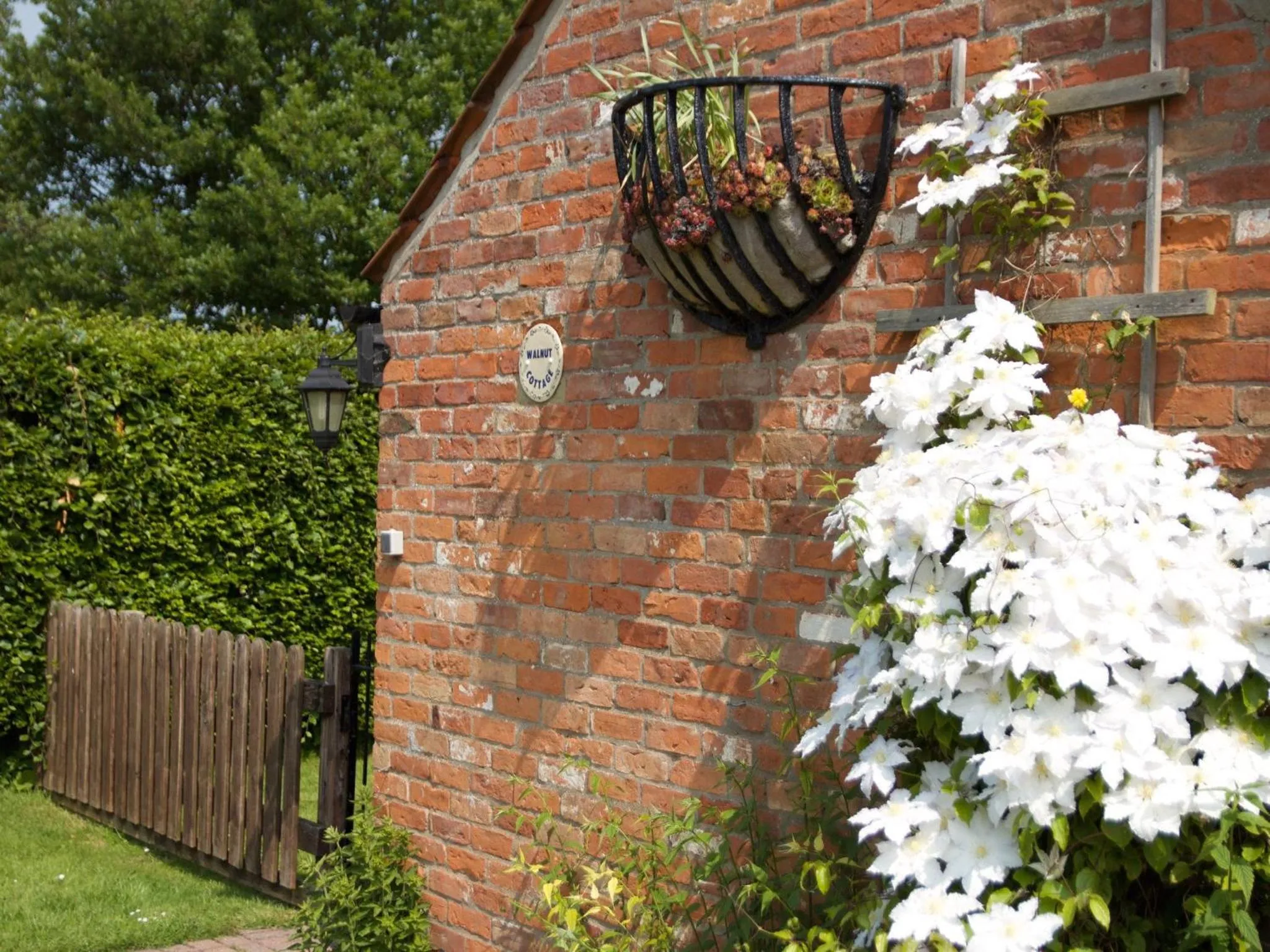 View (from property/room) in The Chestnuts Holiday Cottages