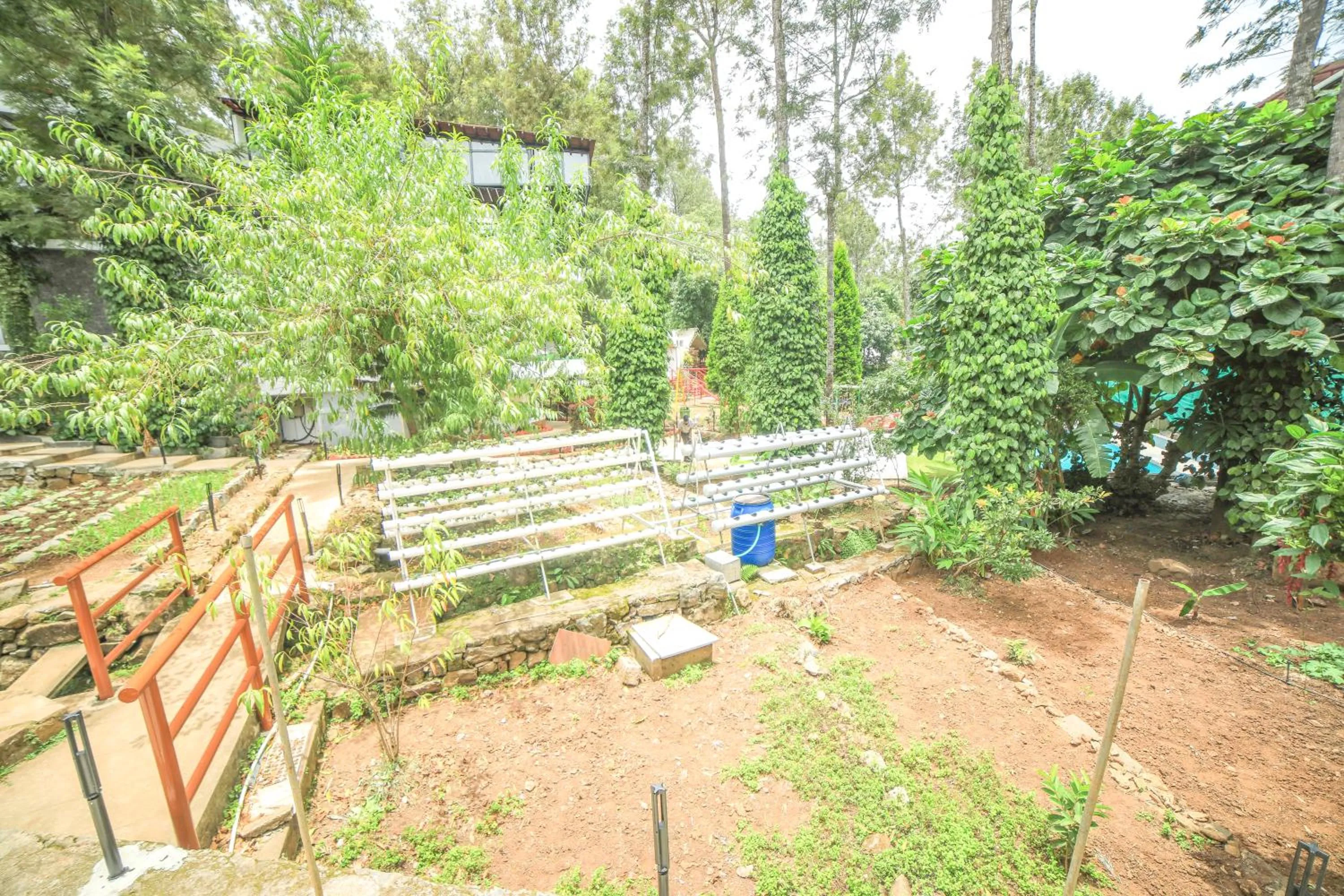 Garden in WOW Bison Woods Organic Veg Resort - Yercaud