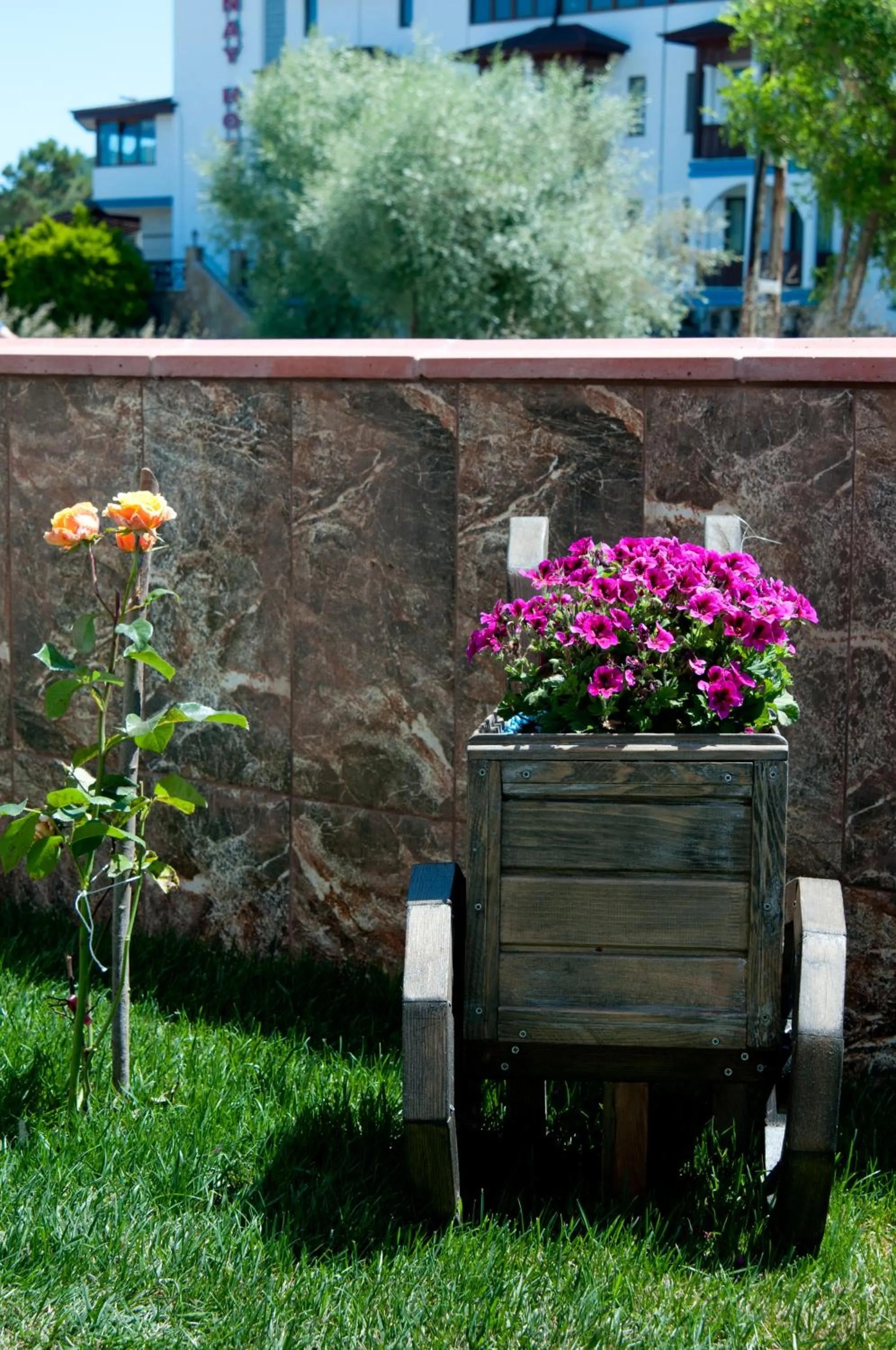 Garden in DEFNE OTEL