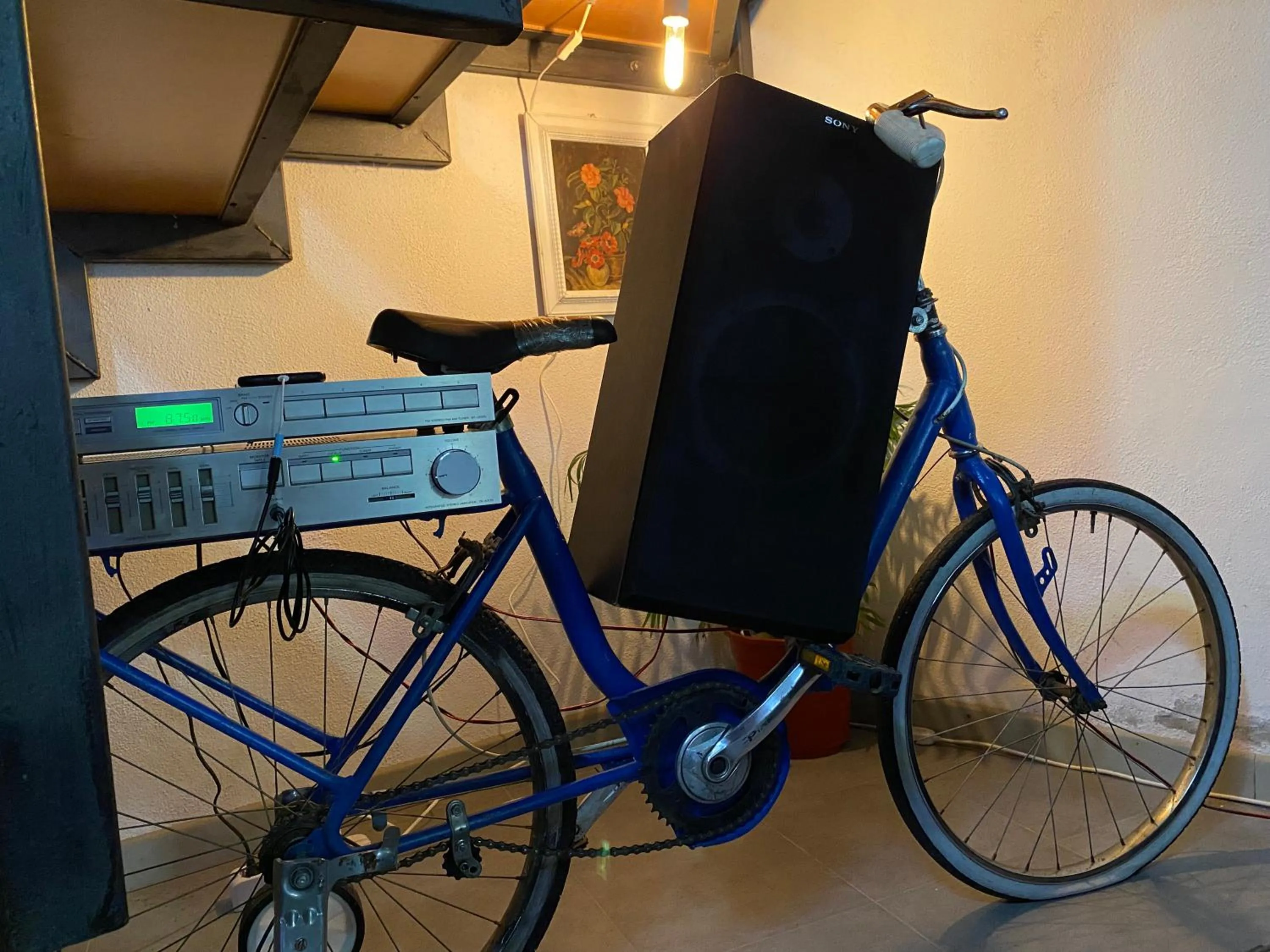 Activities in Locanda le GINESTRE