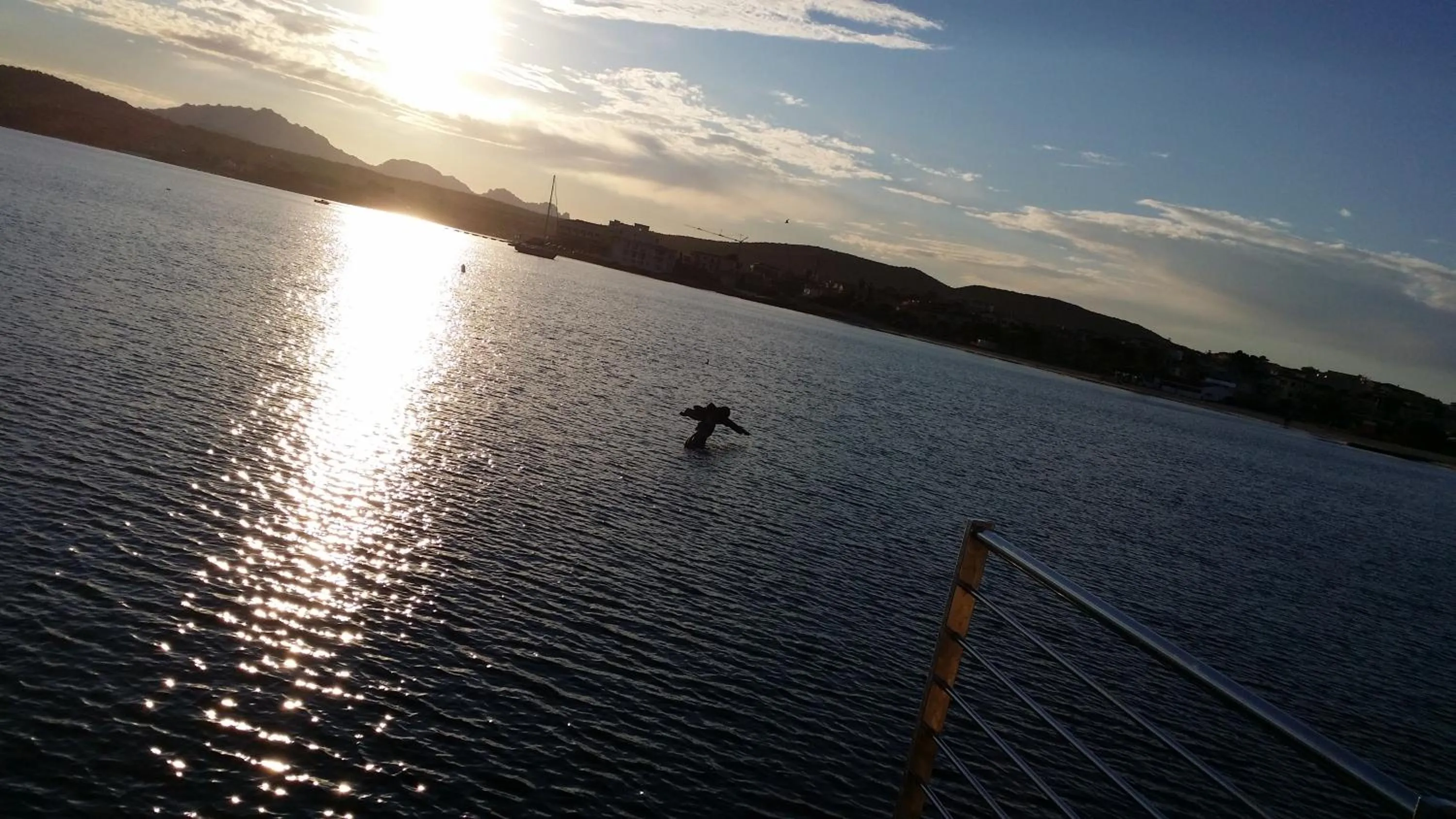 On site in Hotel Tabby