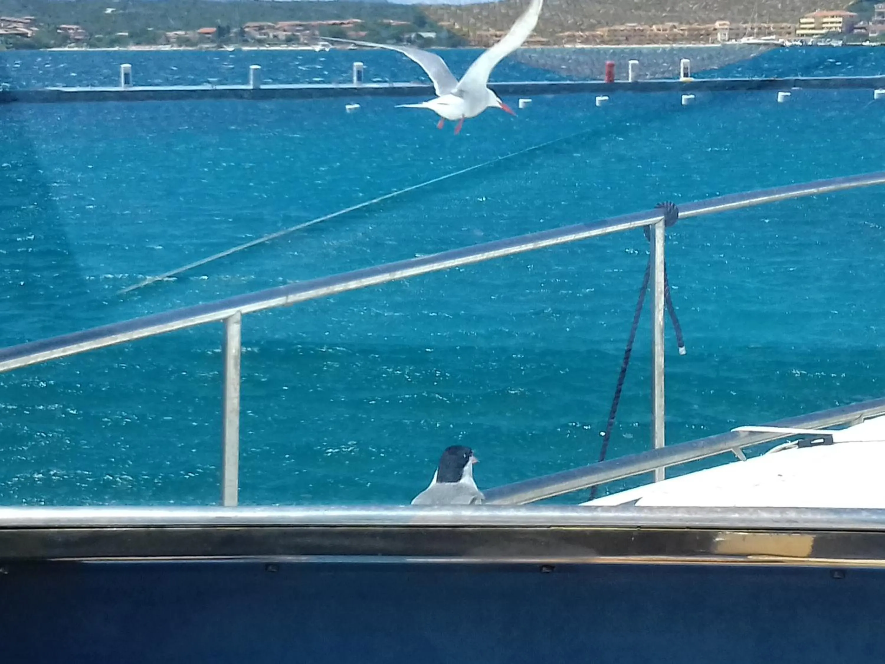 Hiking in Hotel Tabby