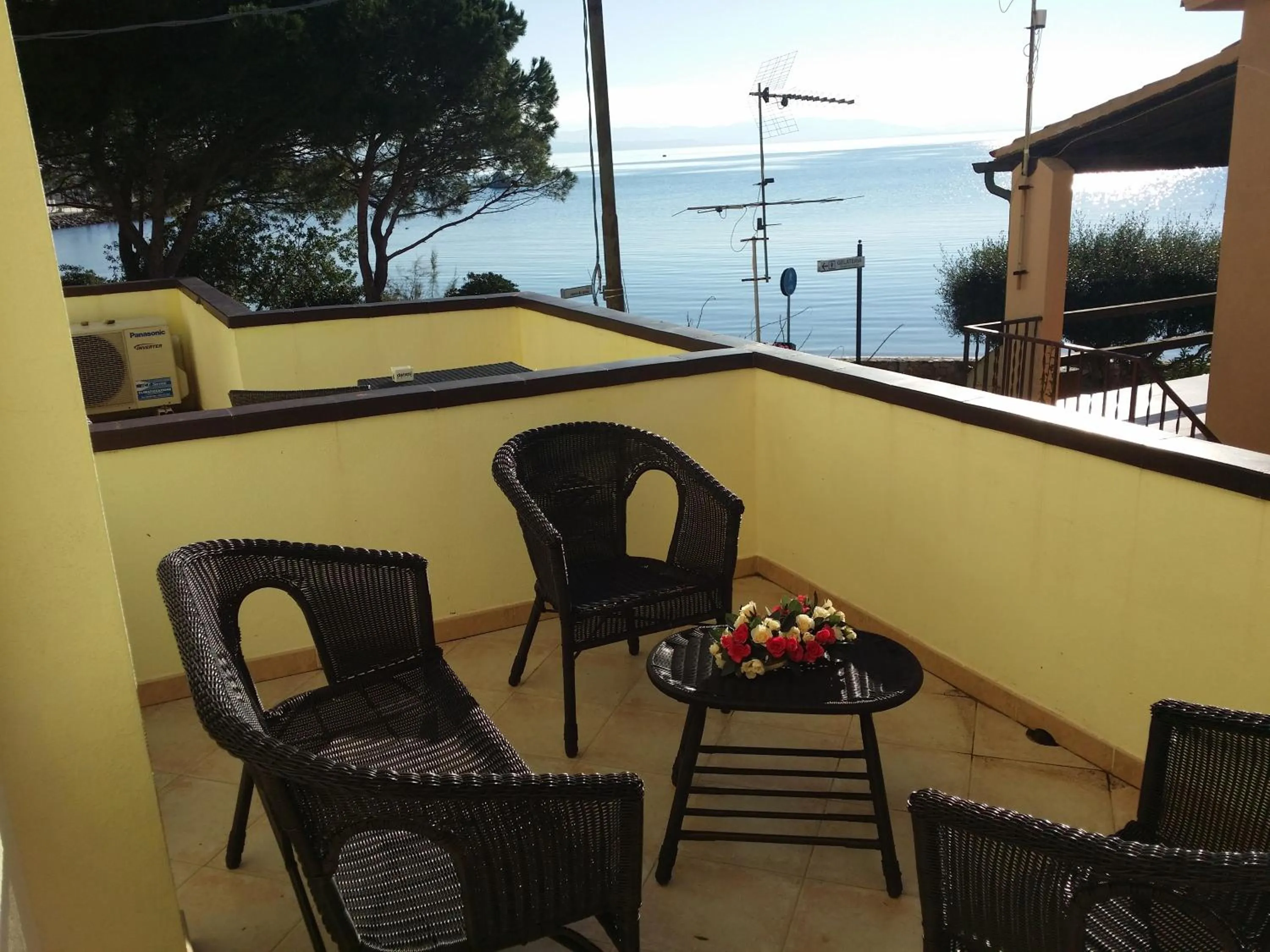 On site in Hotel Tabby