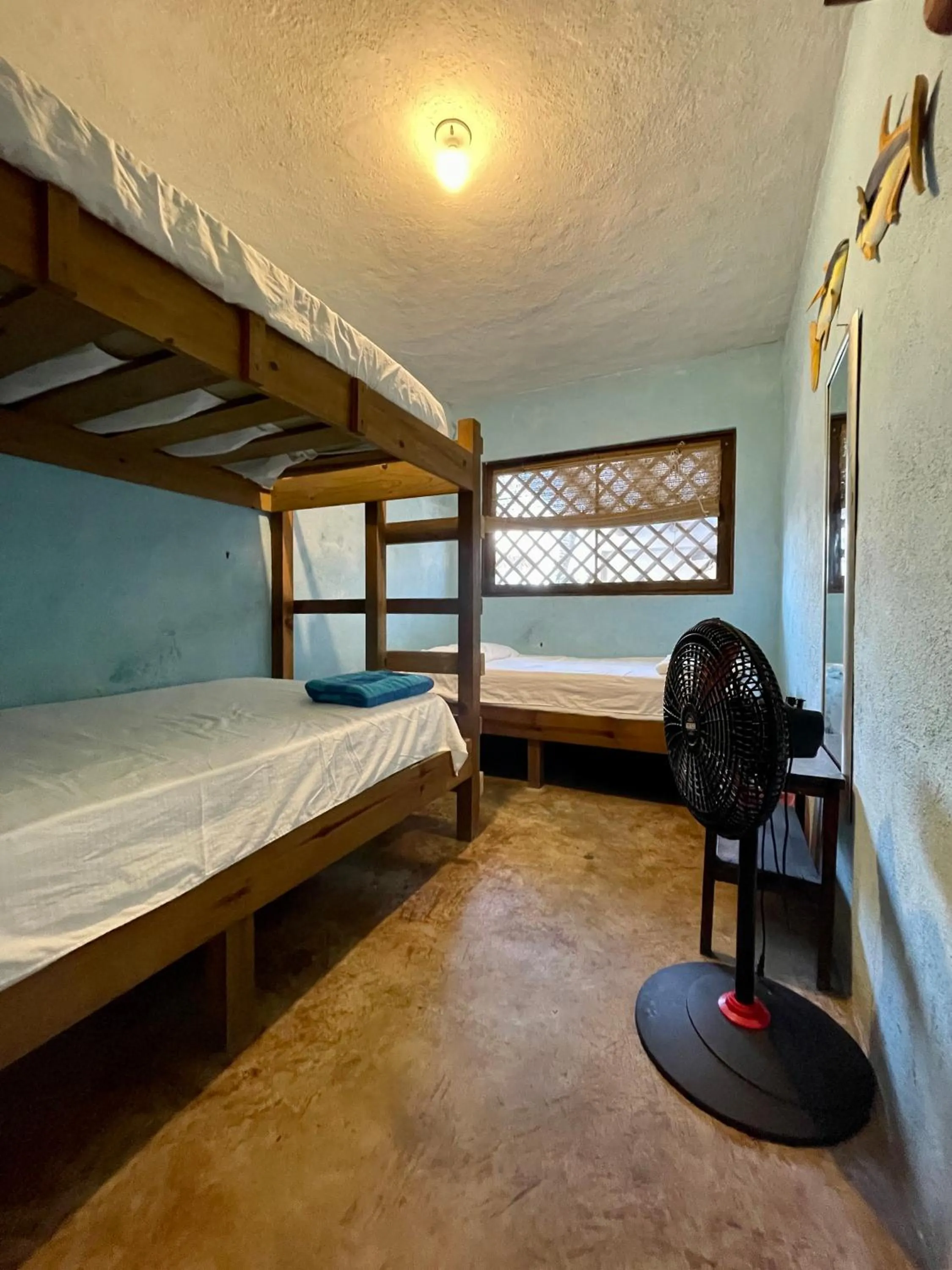 bunk bed, Bed in Johnnys Place Hotel