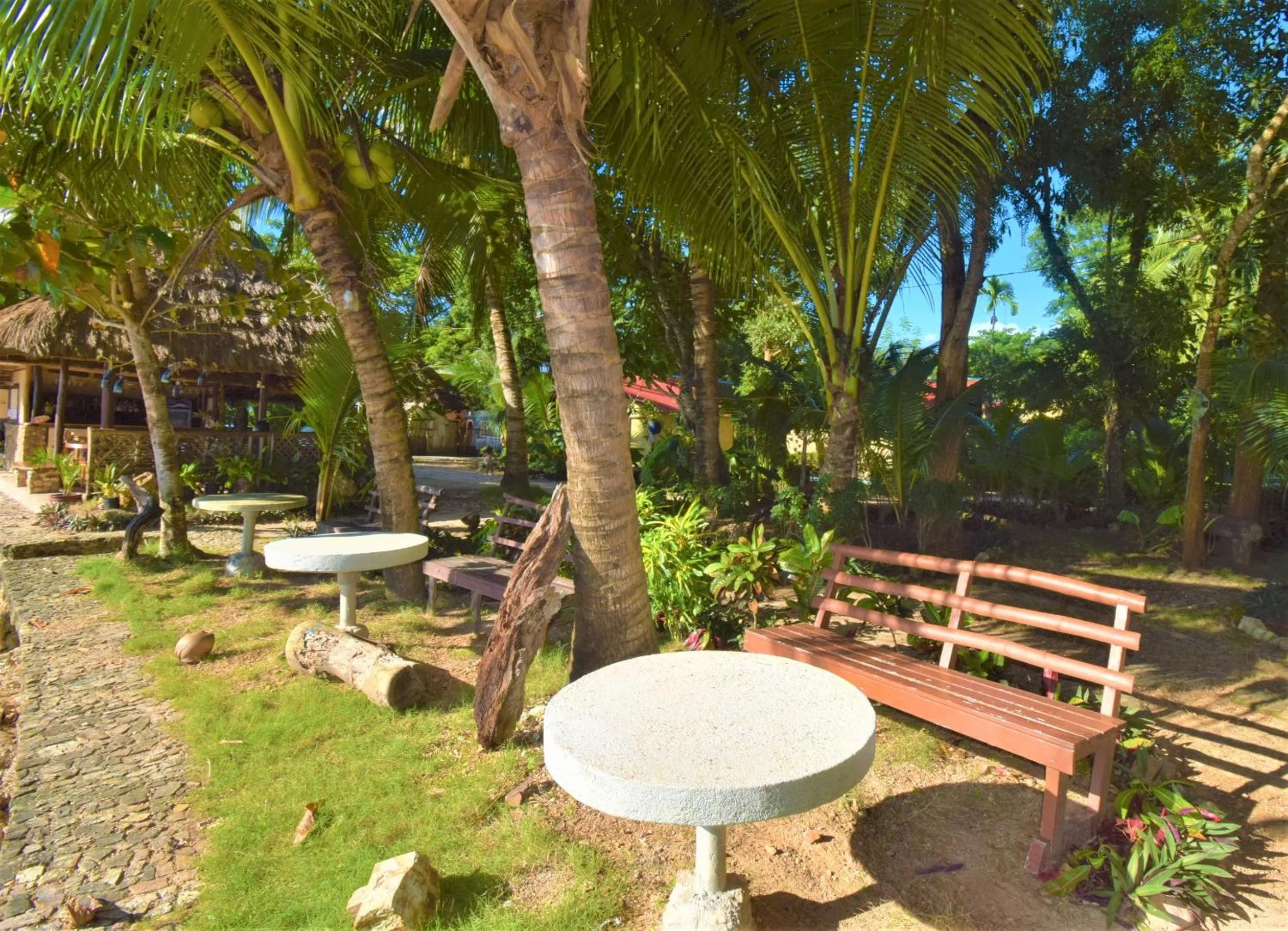 Day in Concepcion Divers Lodge