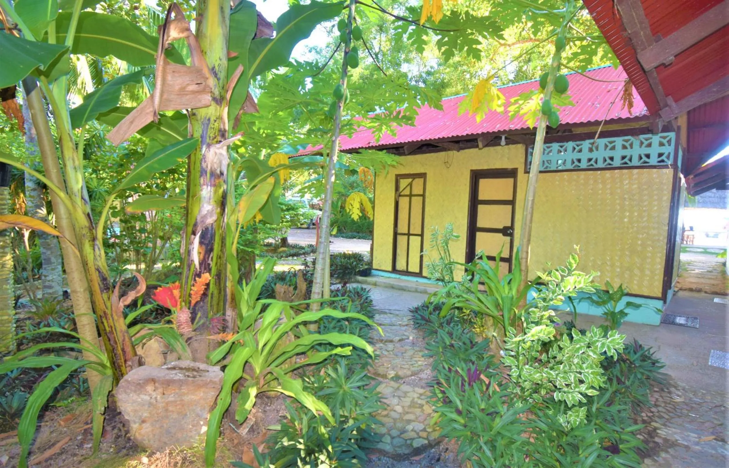 Property building in Concepcion Divers Lodge