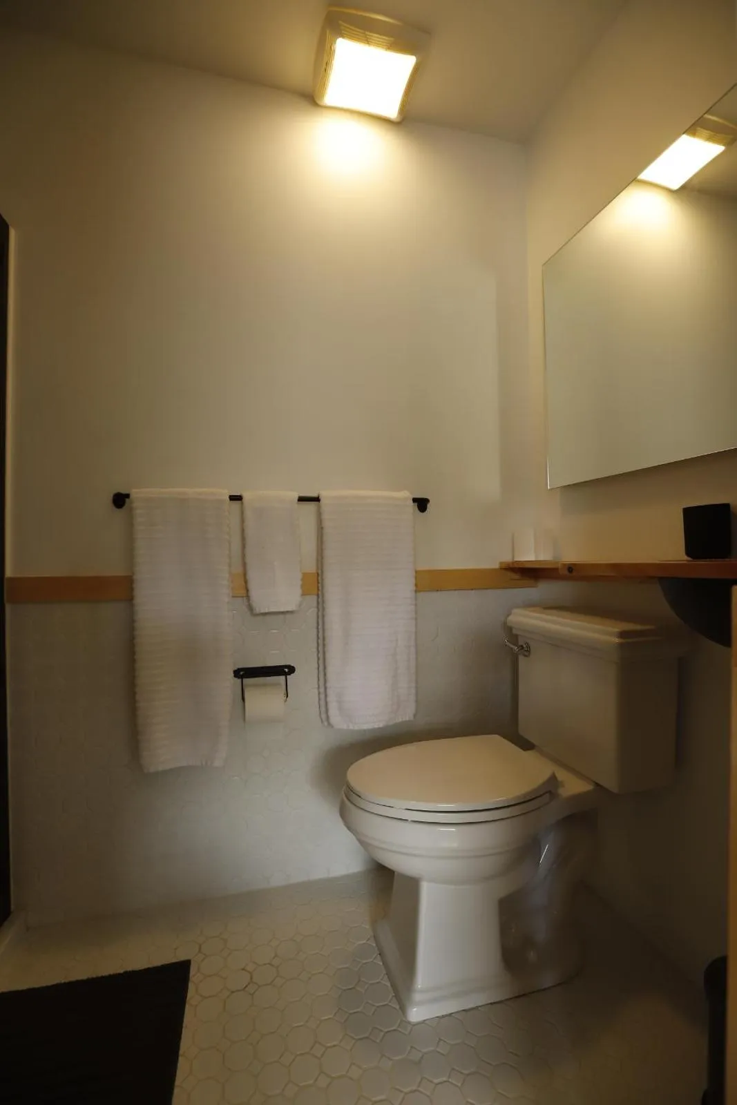 Toilet in The Vine on Main