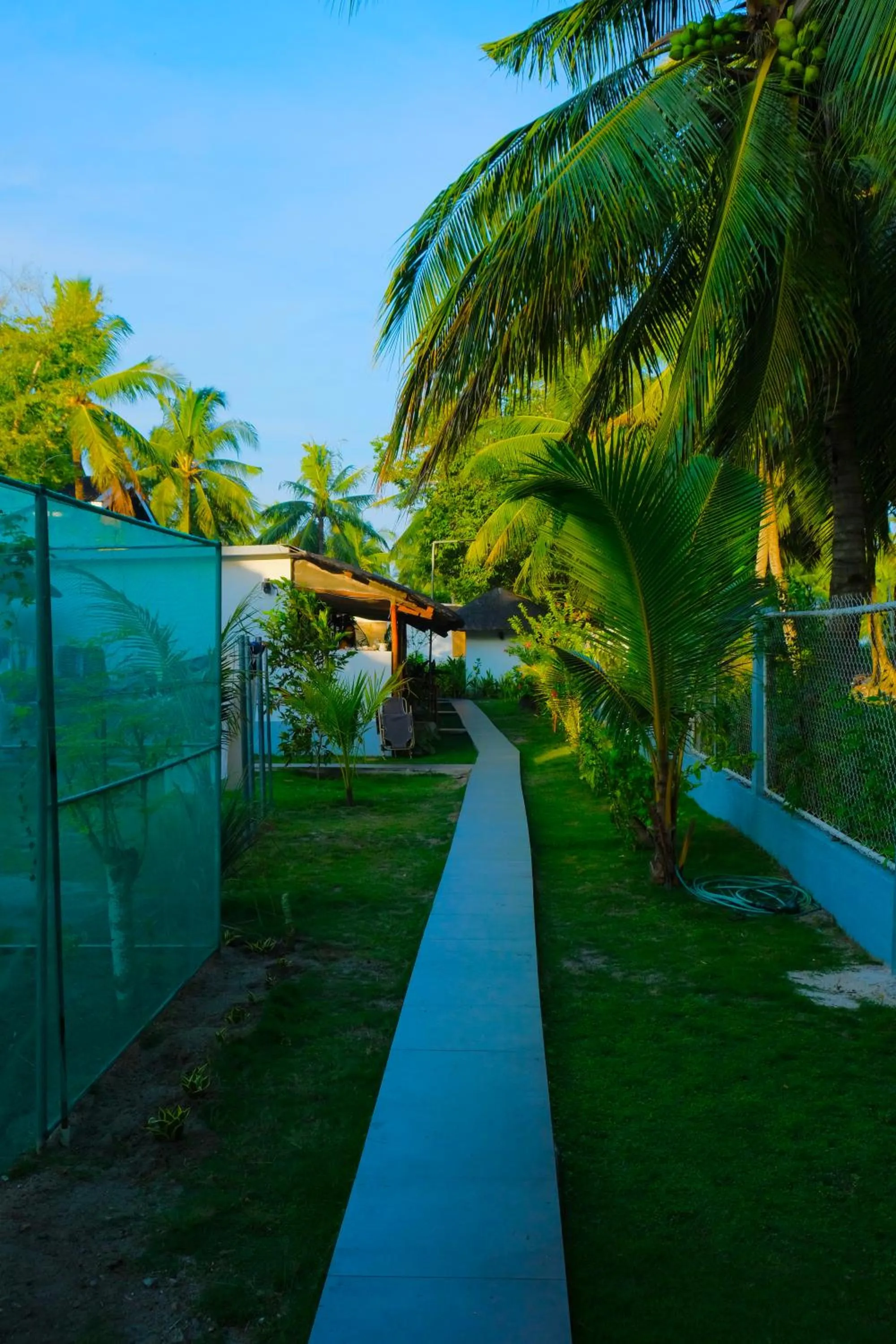 Garden view in Skott's Comfy Lodge
