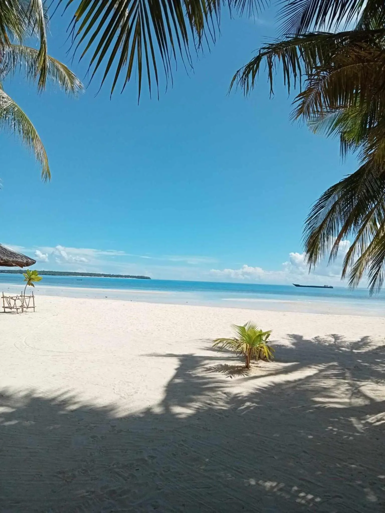 Beach in Skott's Comfy Lodge