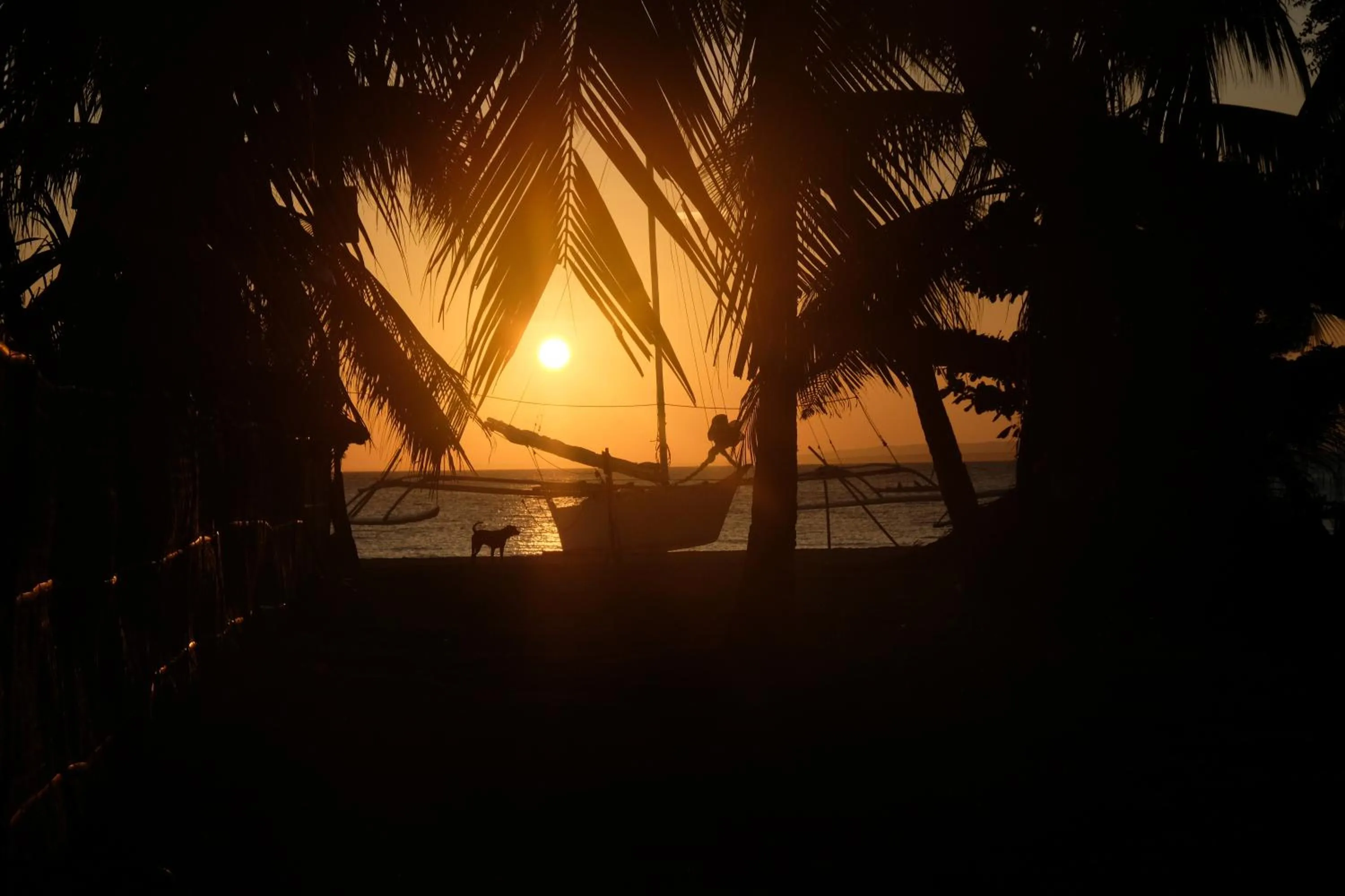 Sunrise in Skott's Comfy Lodge