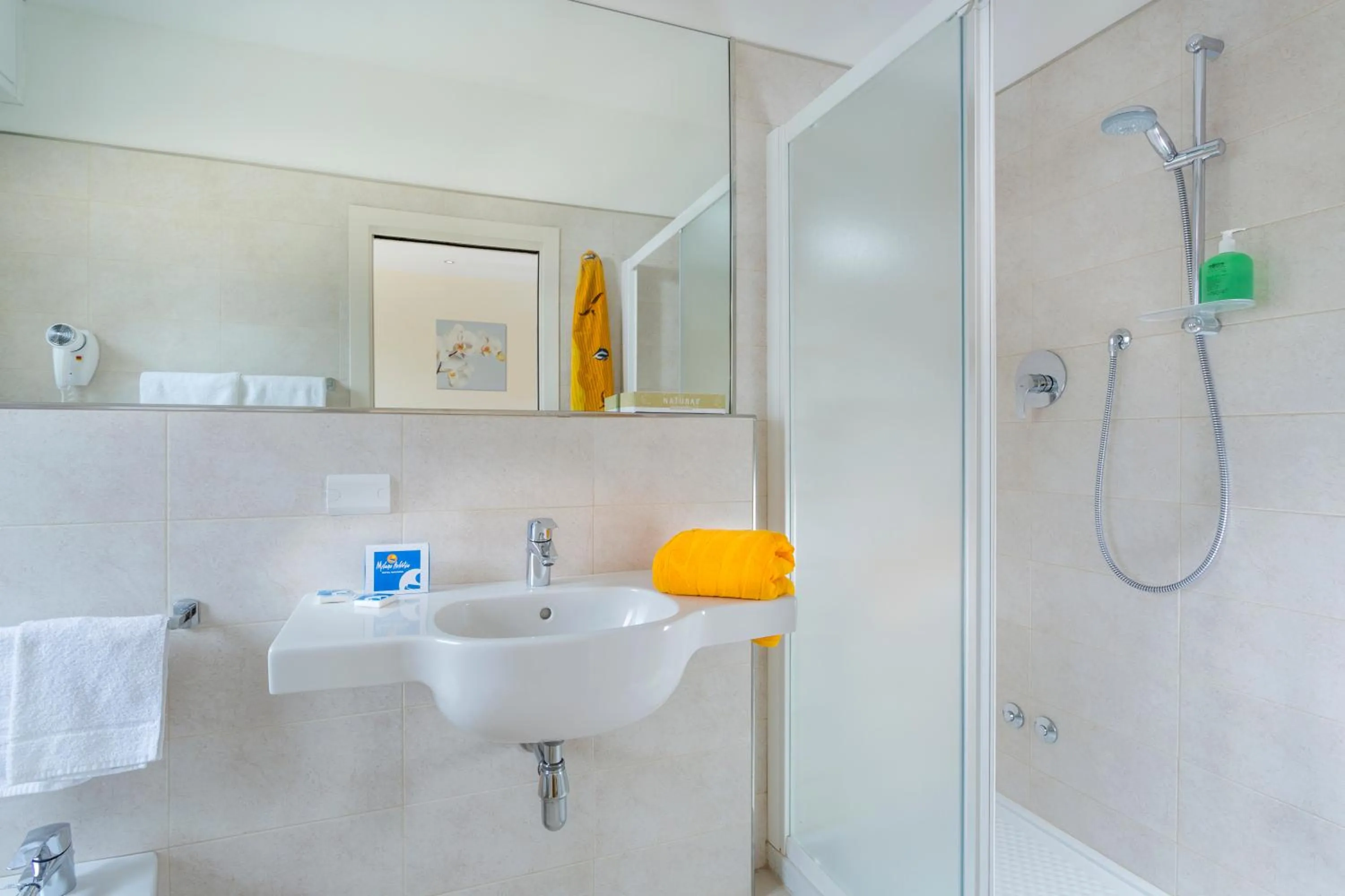 Bathroom in Hotel Milano Helvetia - in centro con piscina