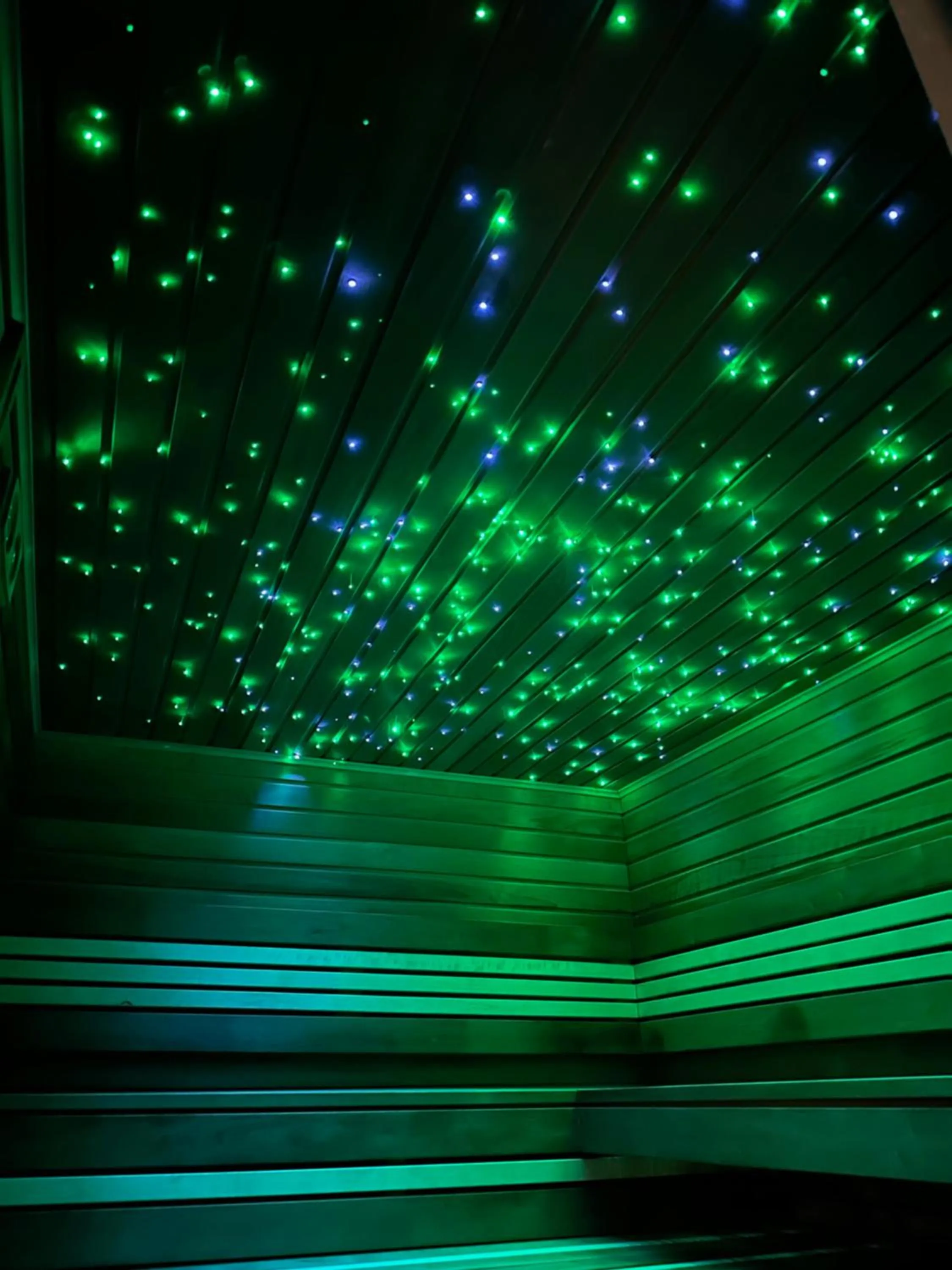 Sauna in Villa Libosad