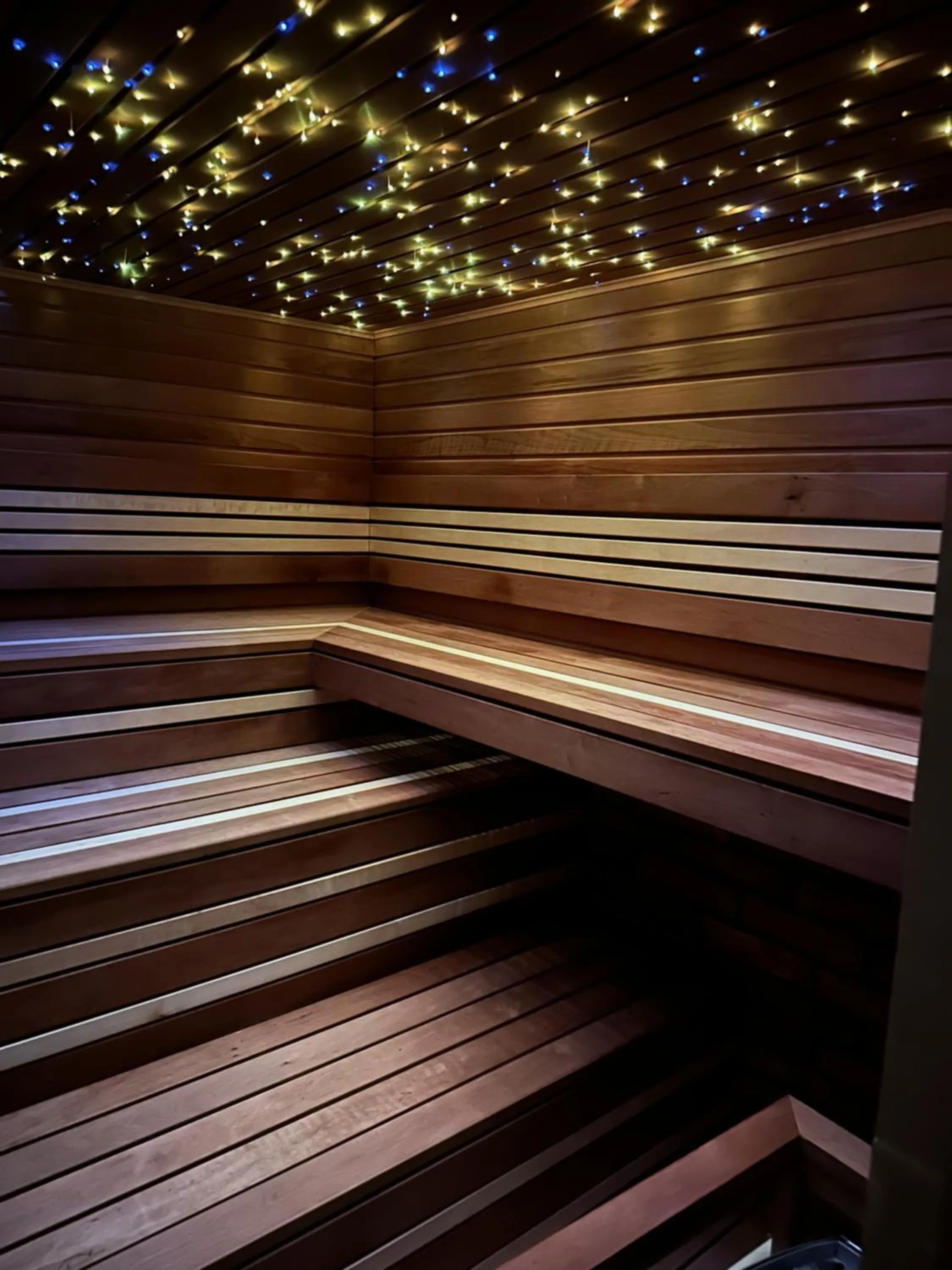 Sauna in Villa Libosad